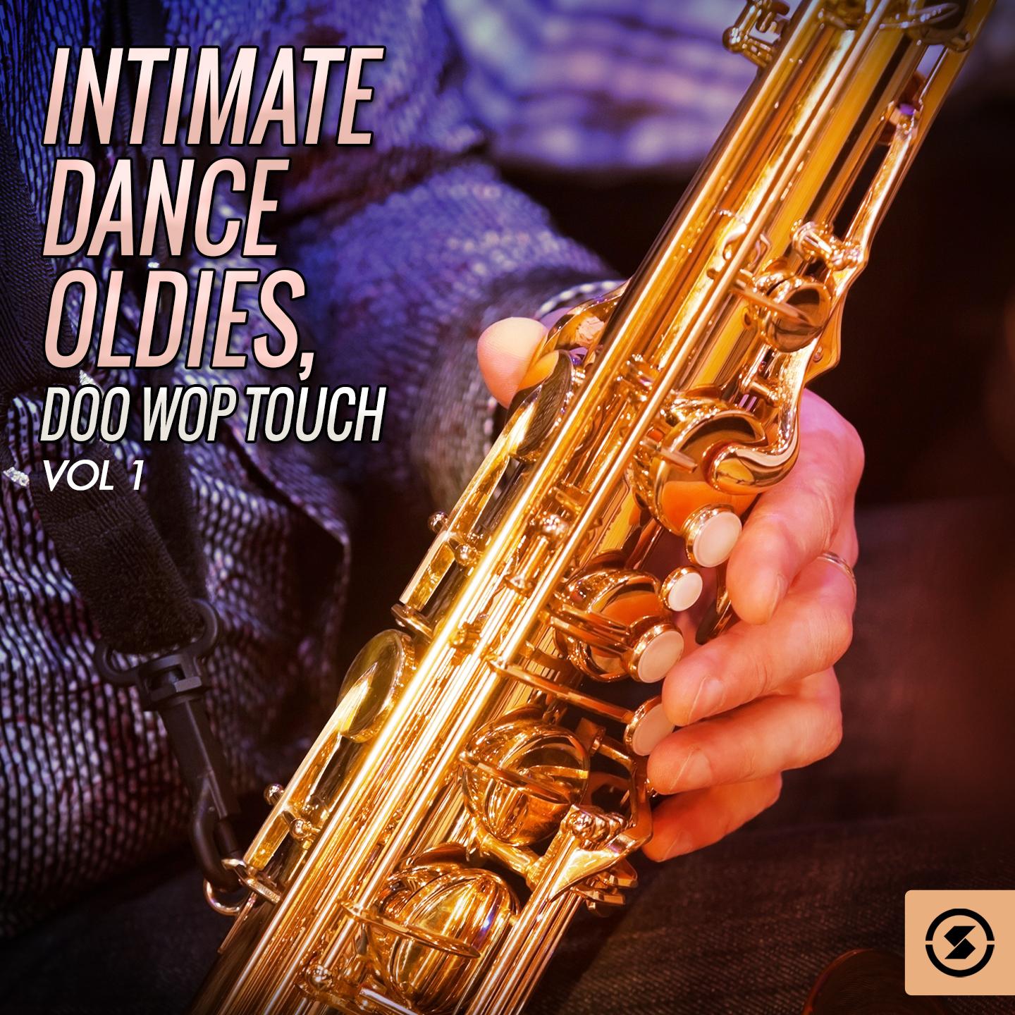 Постер альбома Intimate Dance Oldies: Doo Wop Touch, Vol. 1