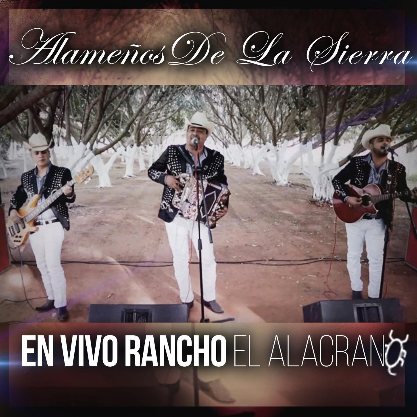 Alameños De La Sierra - El Burrero Culon (En Vivo)