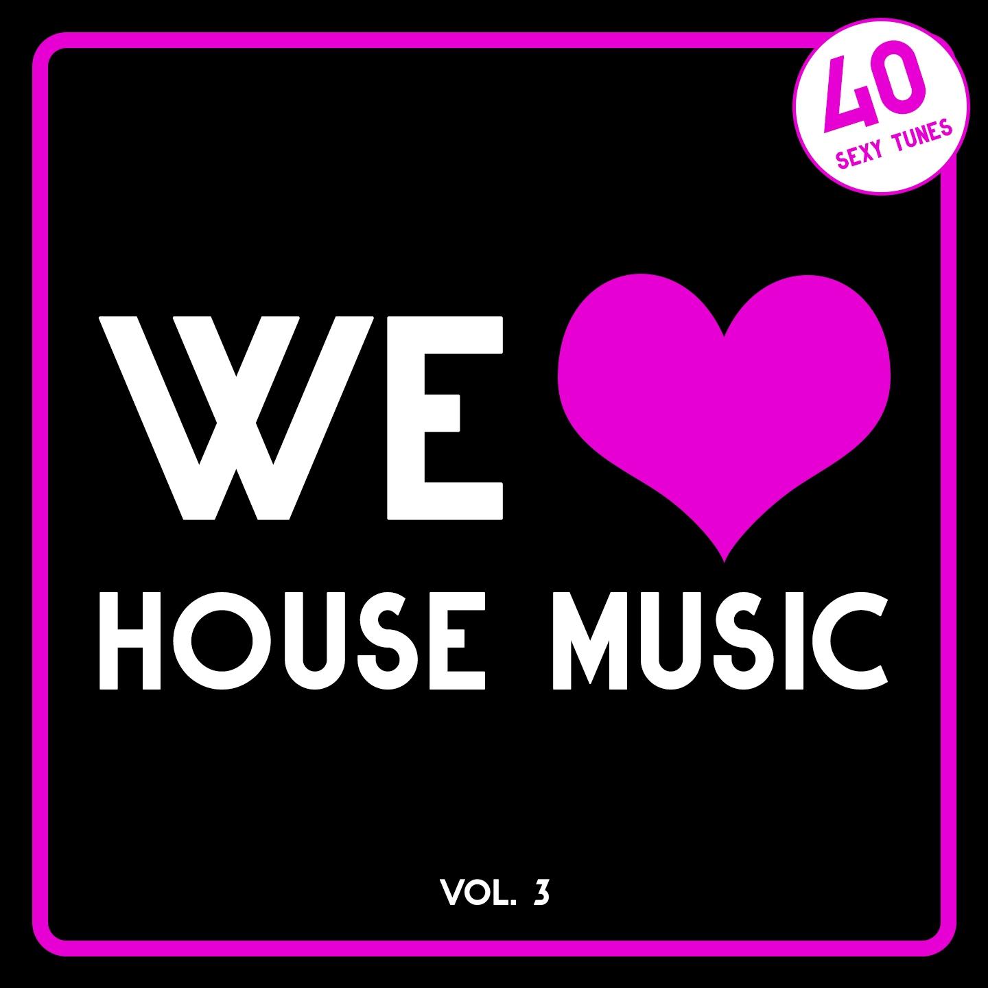Постер альбома We Love House Music, Vol. 3 (40 Sexy Tunes)