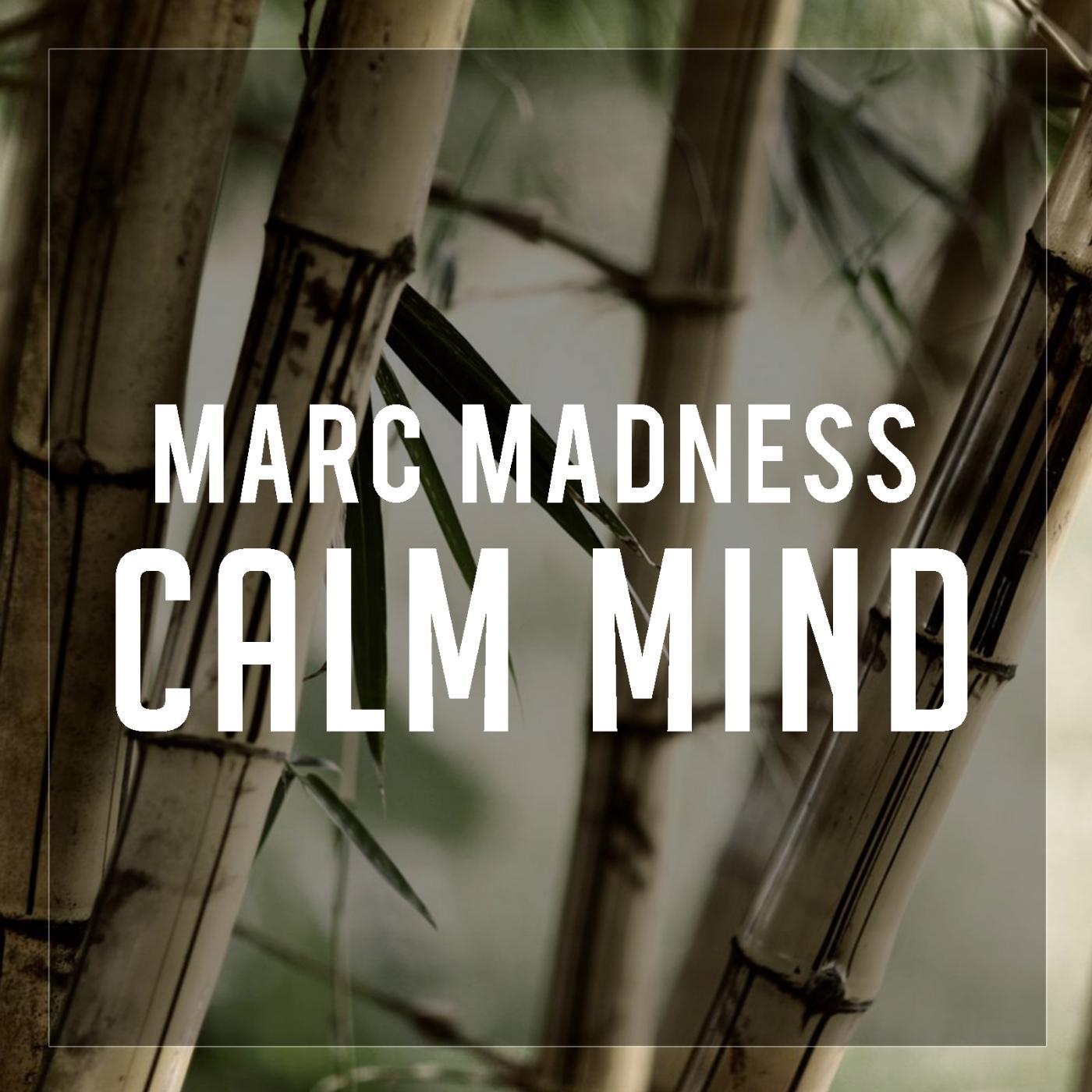 Постер альбома Calm Mind
