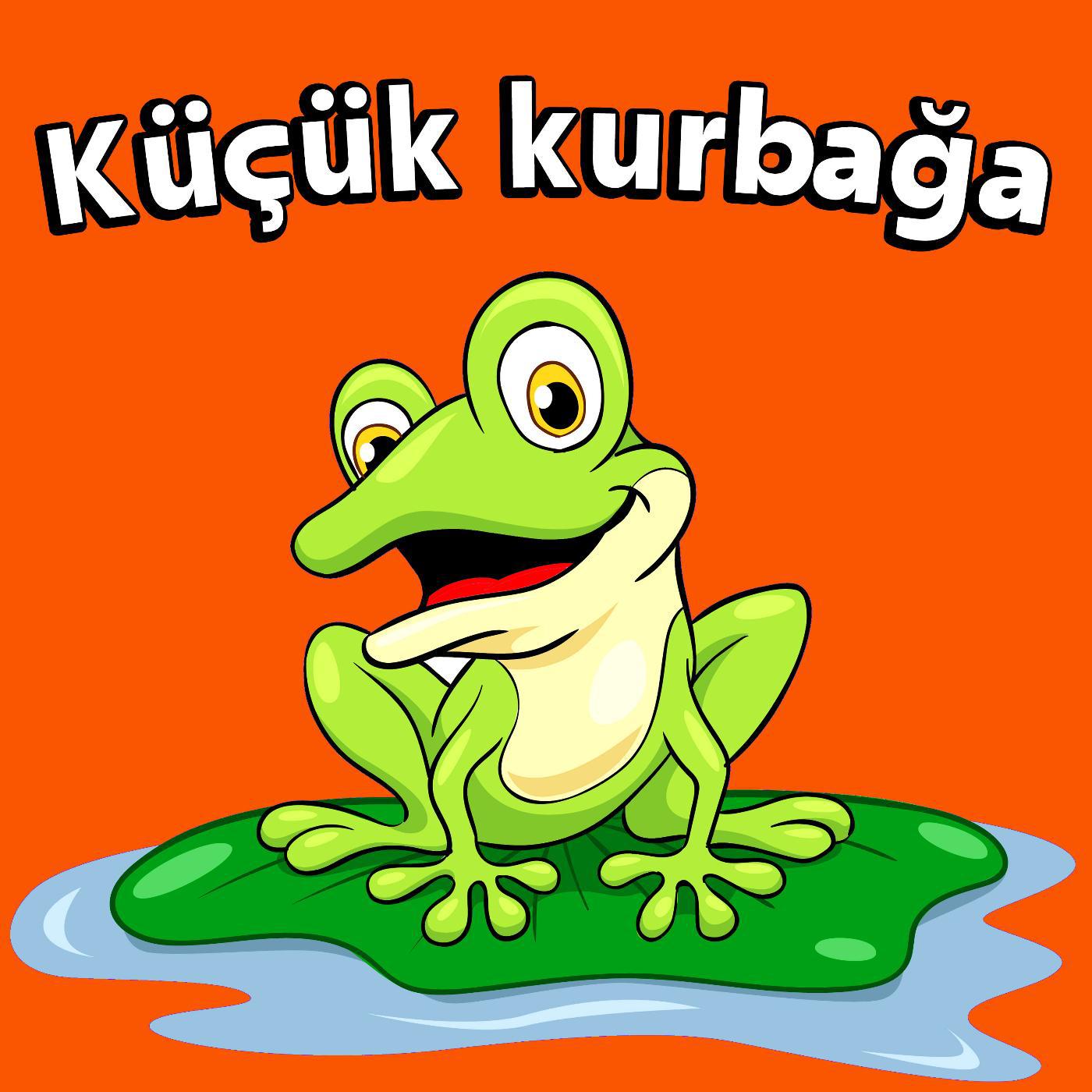 Постер альбома Küçük kurbağa