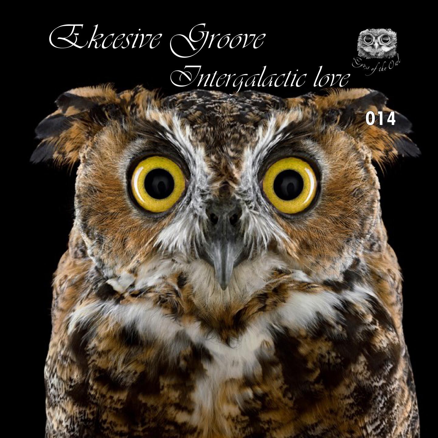 Ekcesive Groove - Intergalactic Love