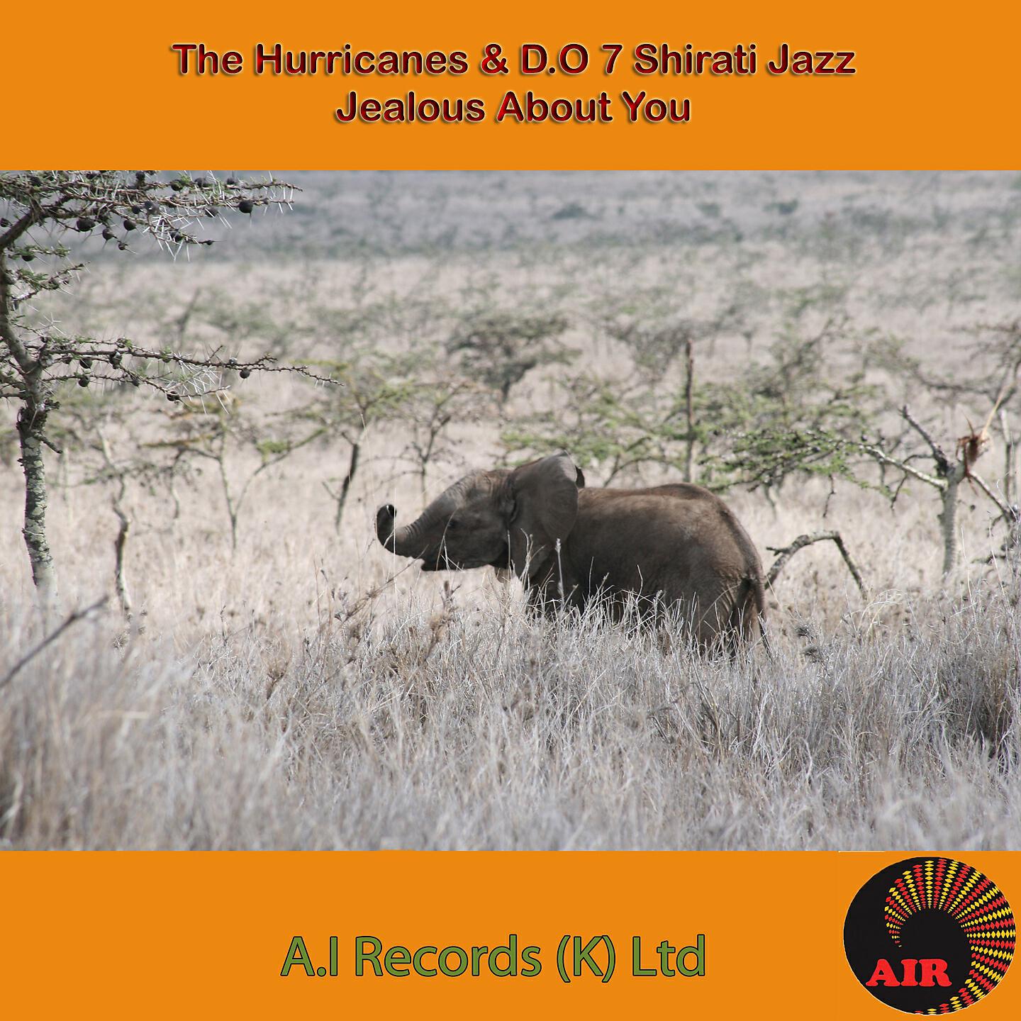 D.O 7 Shirati Jazz Band - Yamo Oloko
