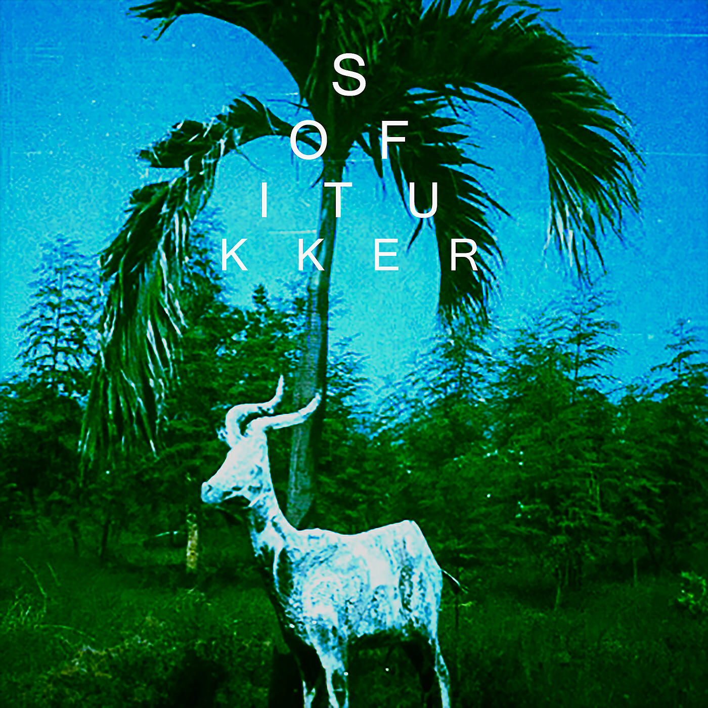 SOFI TUKKER - Drinkee