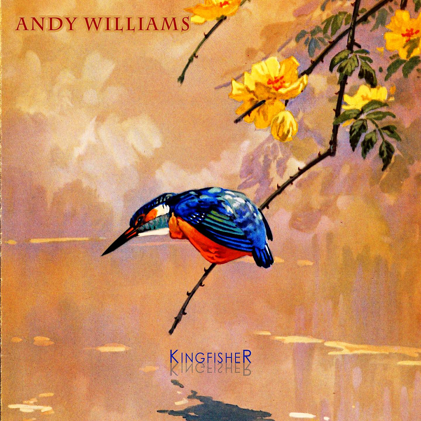Andy Williams - I See Your Face Before Me