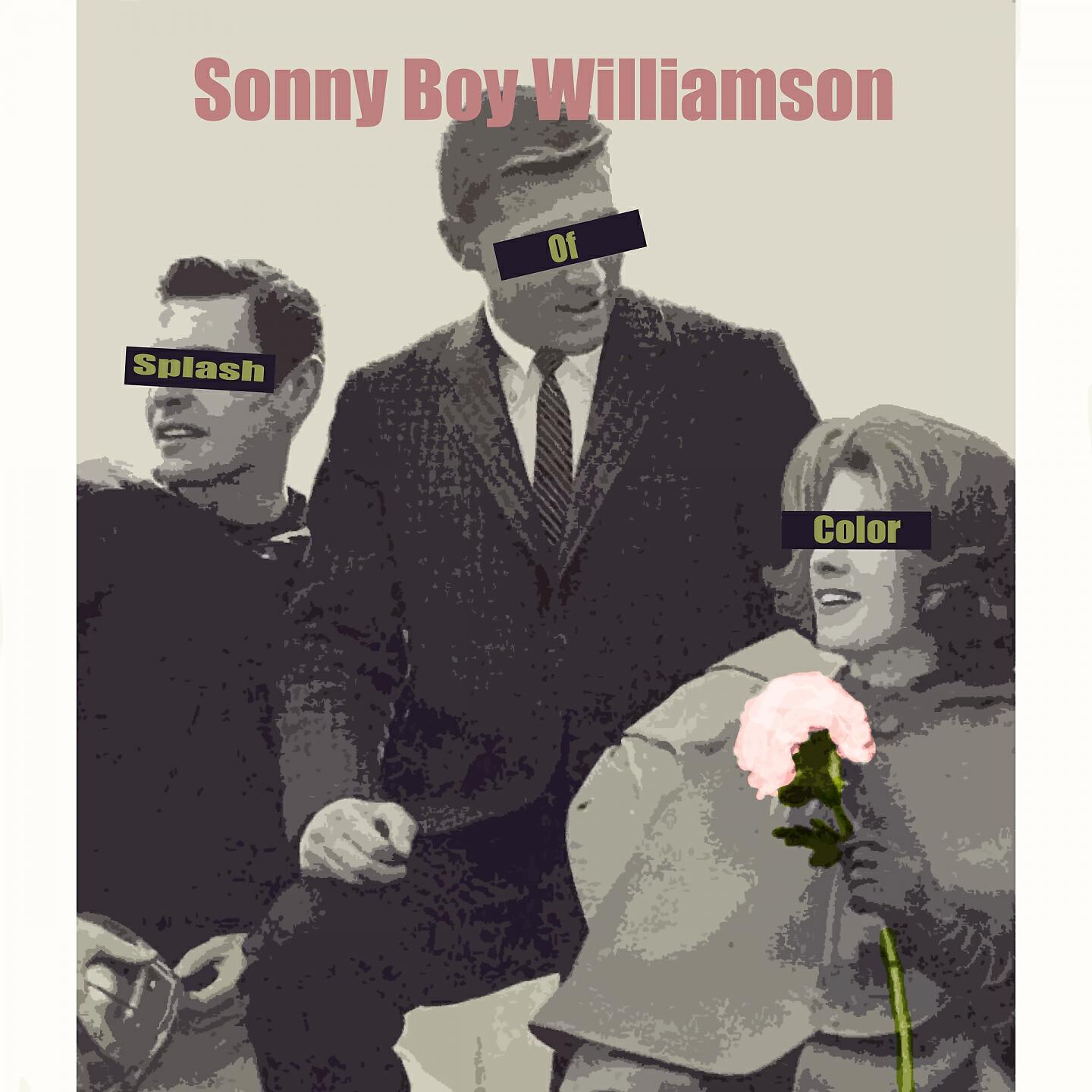 Sonny Boy Williamson - Your Funeral And My Trial