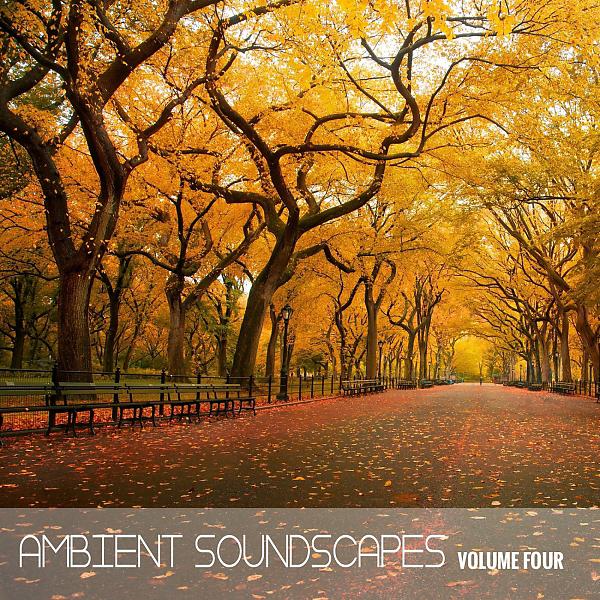 Постер альбома Ambient SoundScapes, Vol. 4