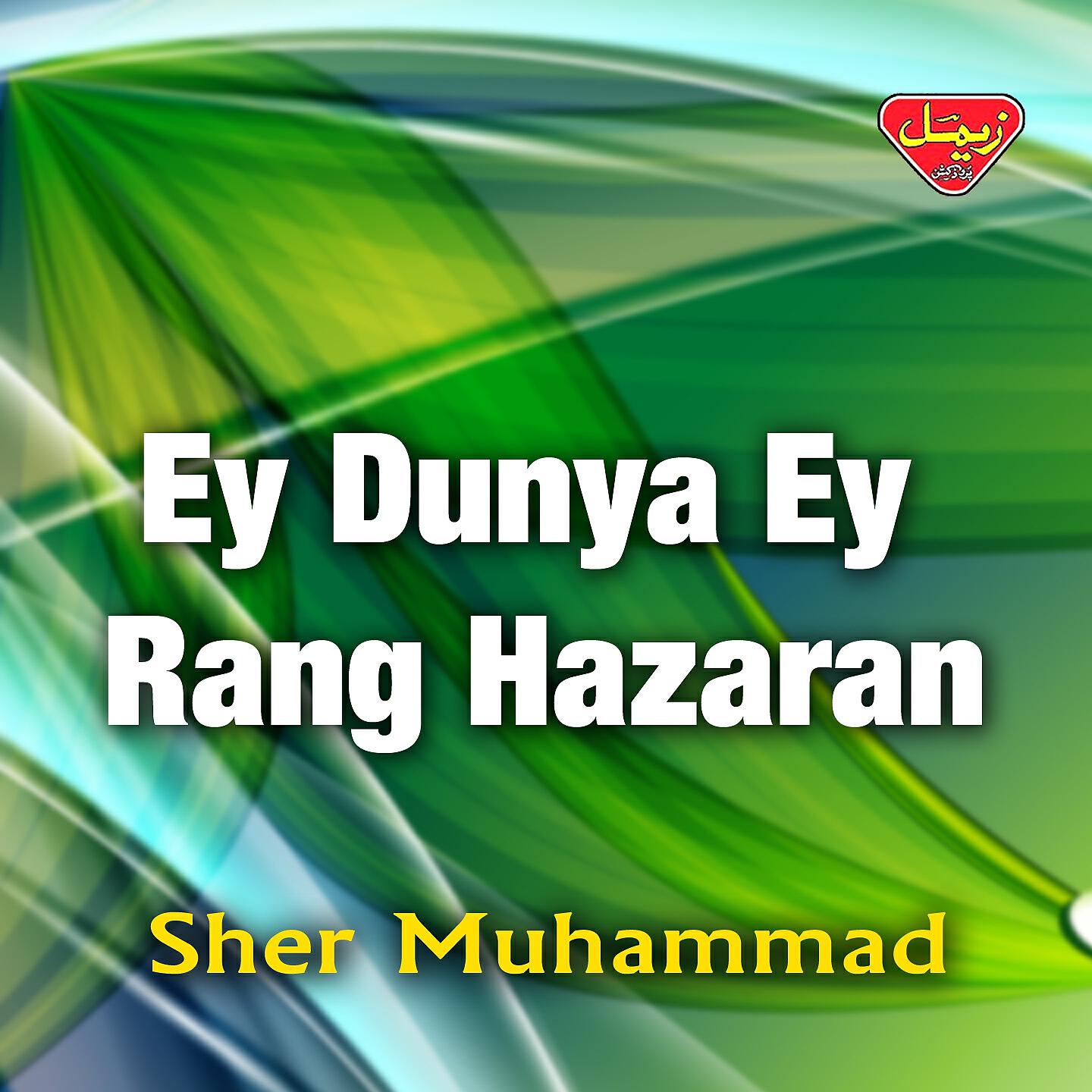 Sher Muhammad - Bradal Mani Jan Beradal Ey