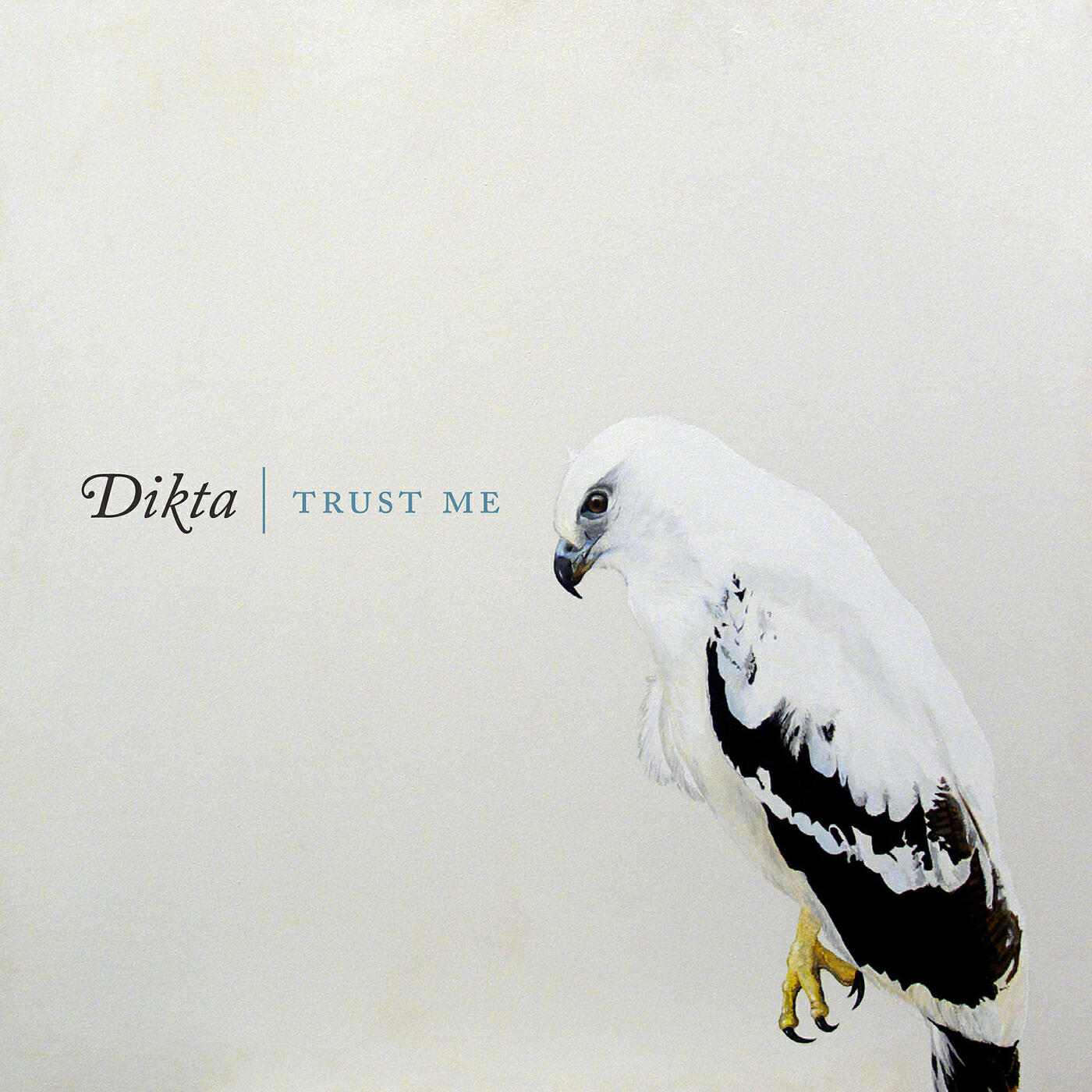 Dikta - Visitor