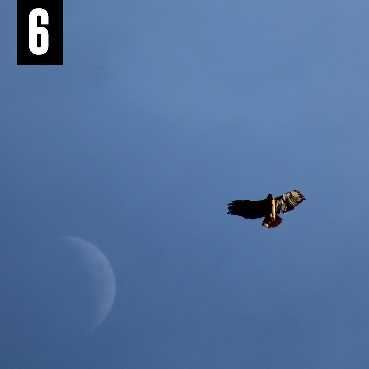 Blended Babies - Nearly Blind (Ahh Ahh Ahh) [feat. Jonathan Chapman]