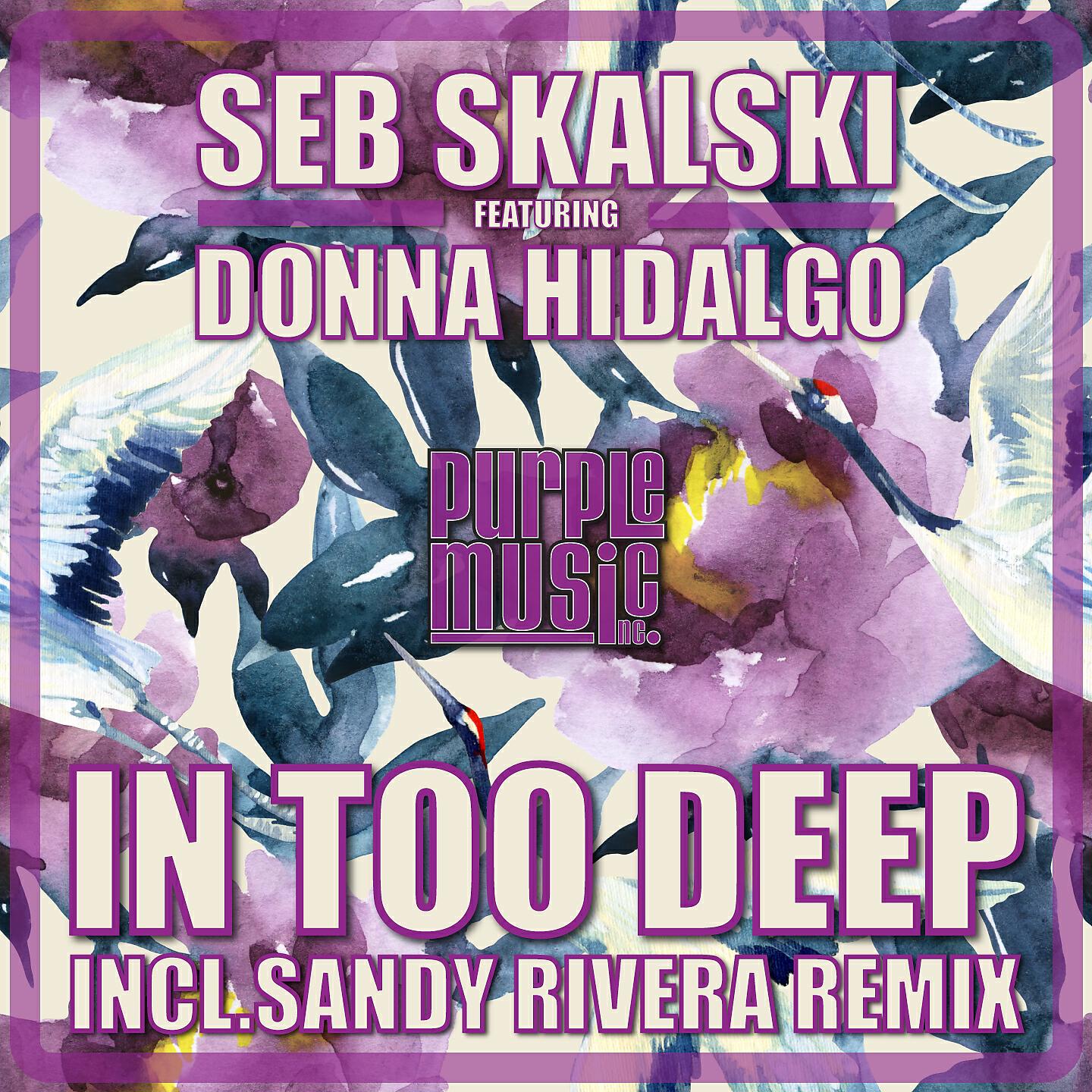 Seb Skalski - In Too Deep (Sandy Rivera's Back2Blackwiz Remix)
