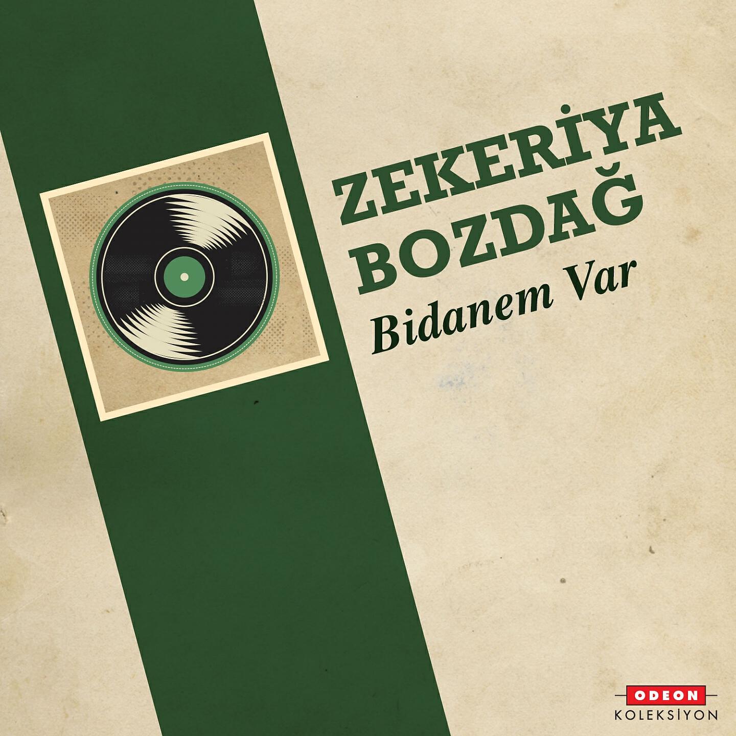 Zekeriya Bozdağ - Vatan Hasreti