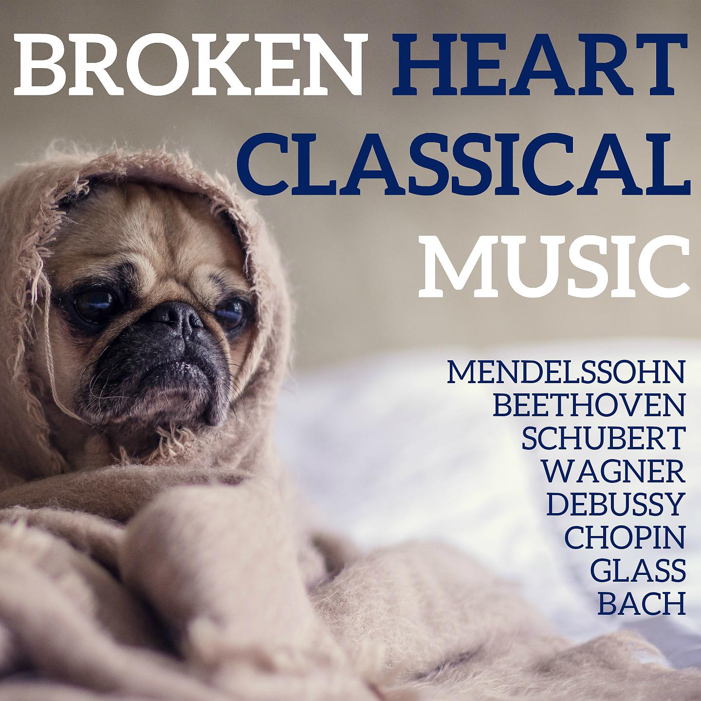 Постер альбома Broken Heart Classical Music