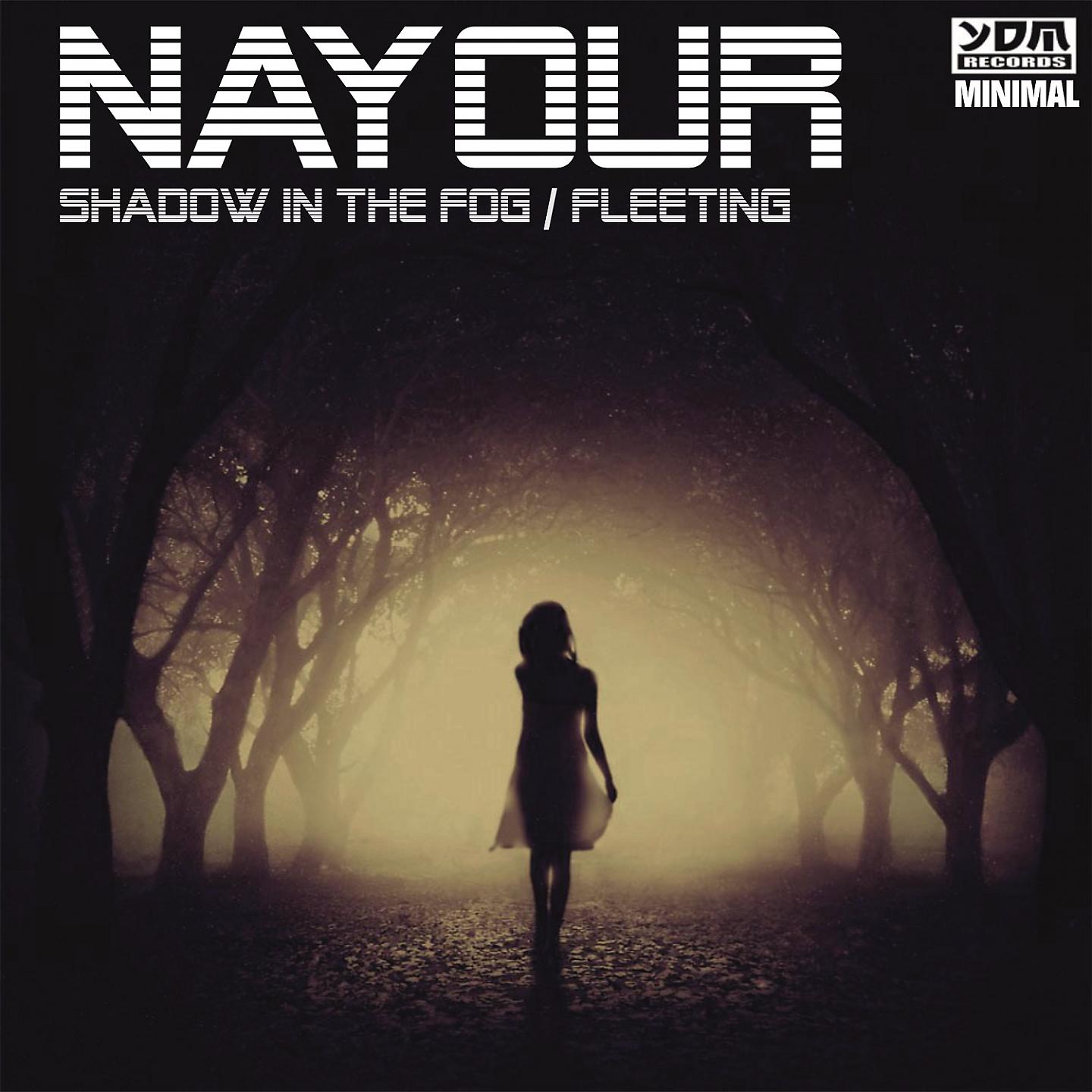 Постер альбома Shadow in the Fog / Fleeting