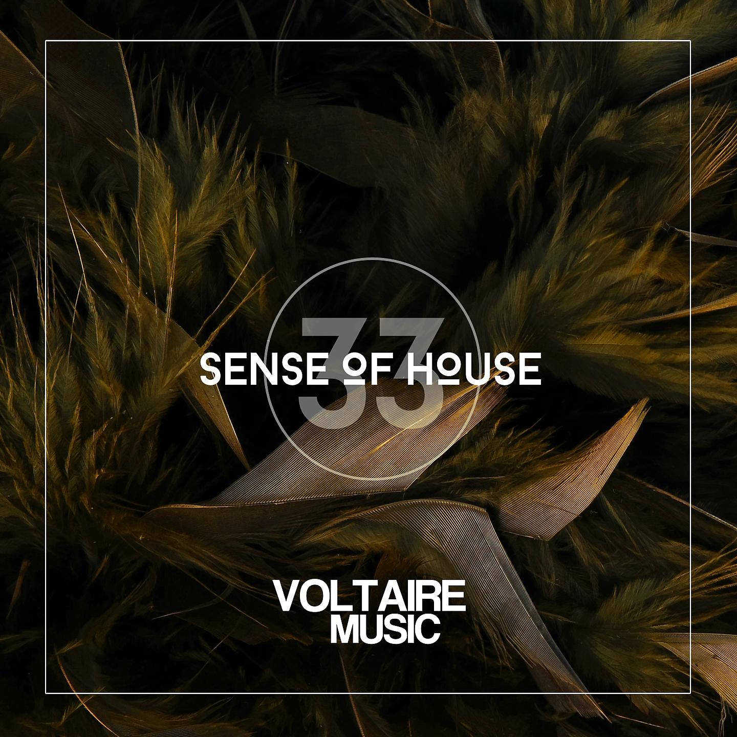 Постер альбома Sense of House, Vol. 33
