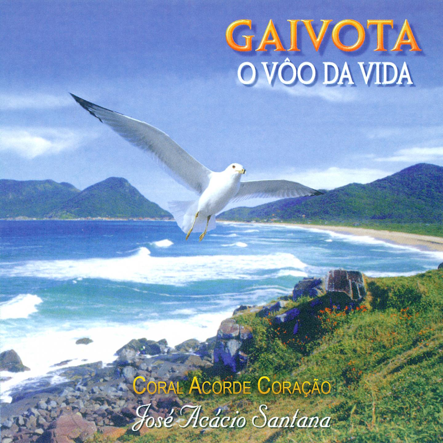 Постер альбома Gaivota: O Vôo da vida