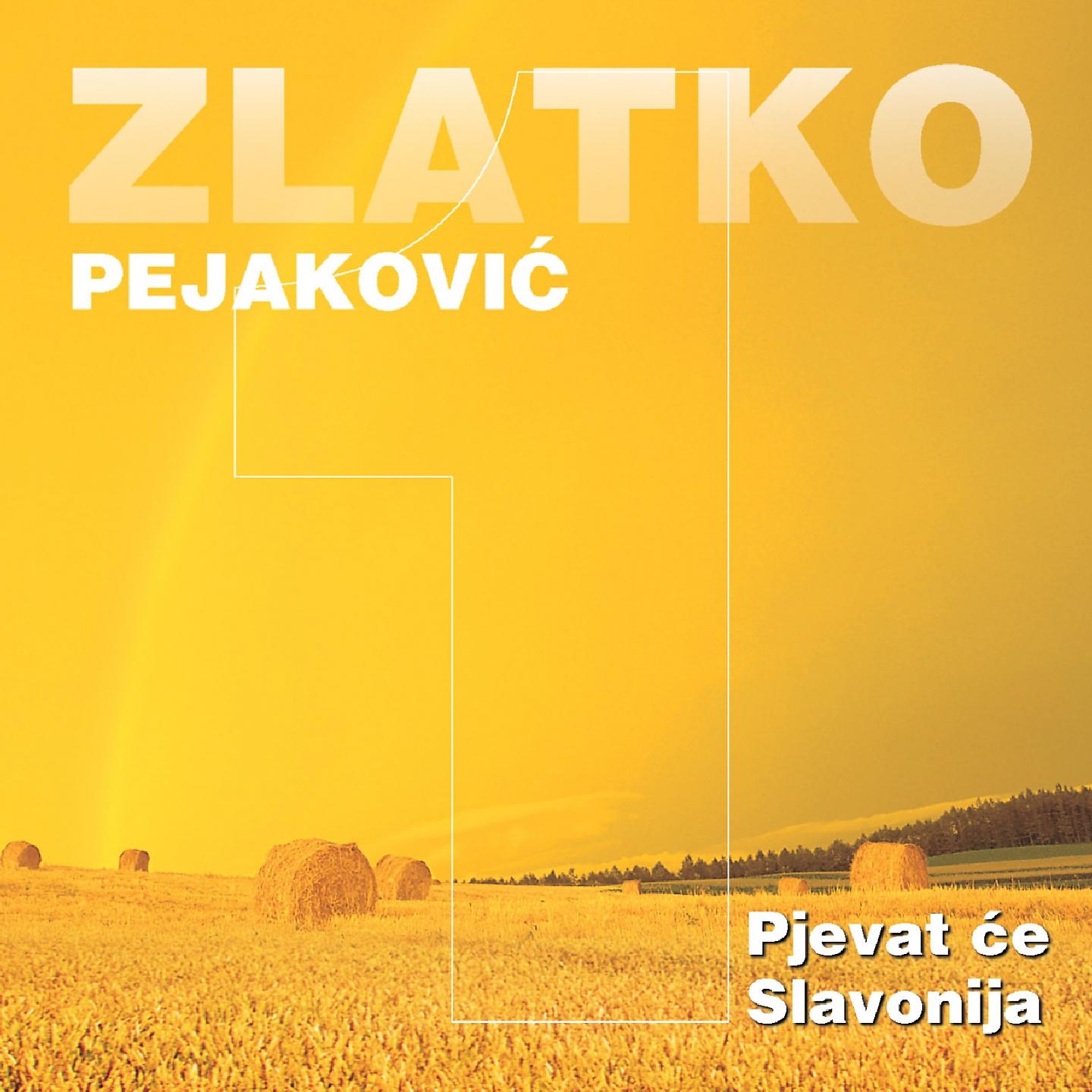 Постер альбома Pjevat Će Slavonija