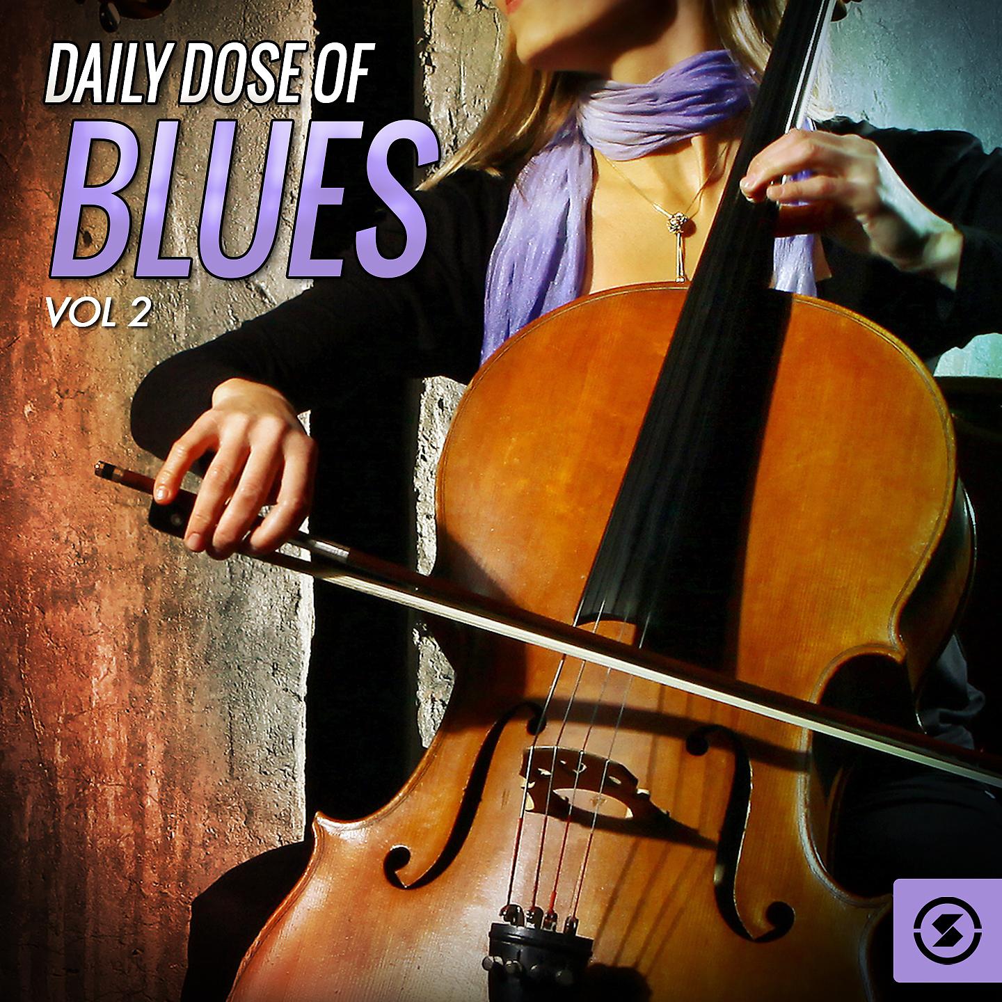 Постер альбома Daily Dose of Blues, Vol. 2
