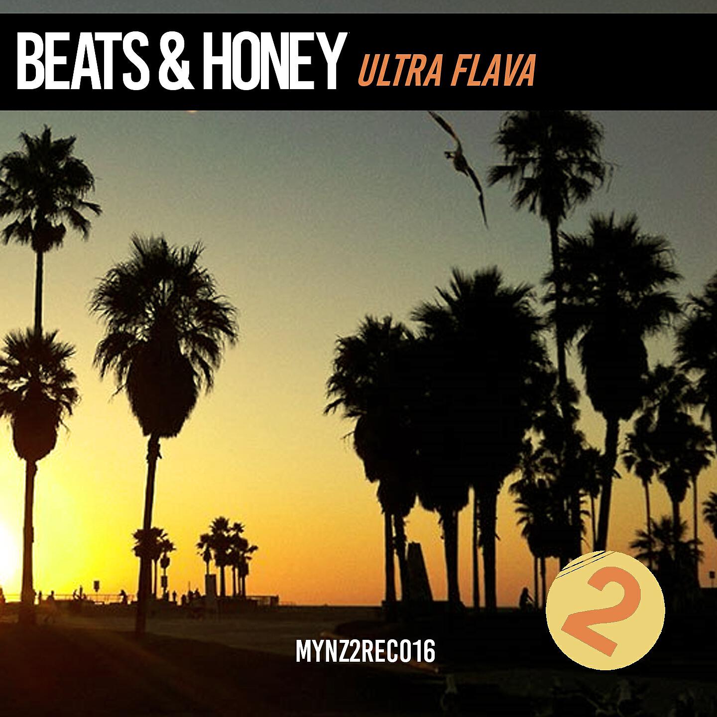 Beats & Honey - Ultra Flava (Twisted House Mix)