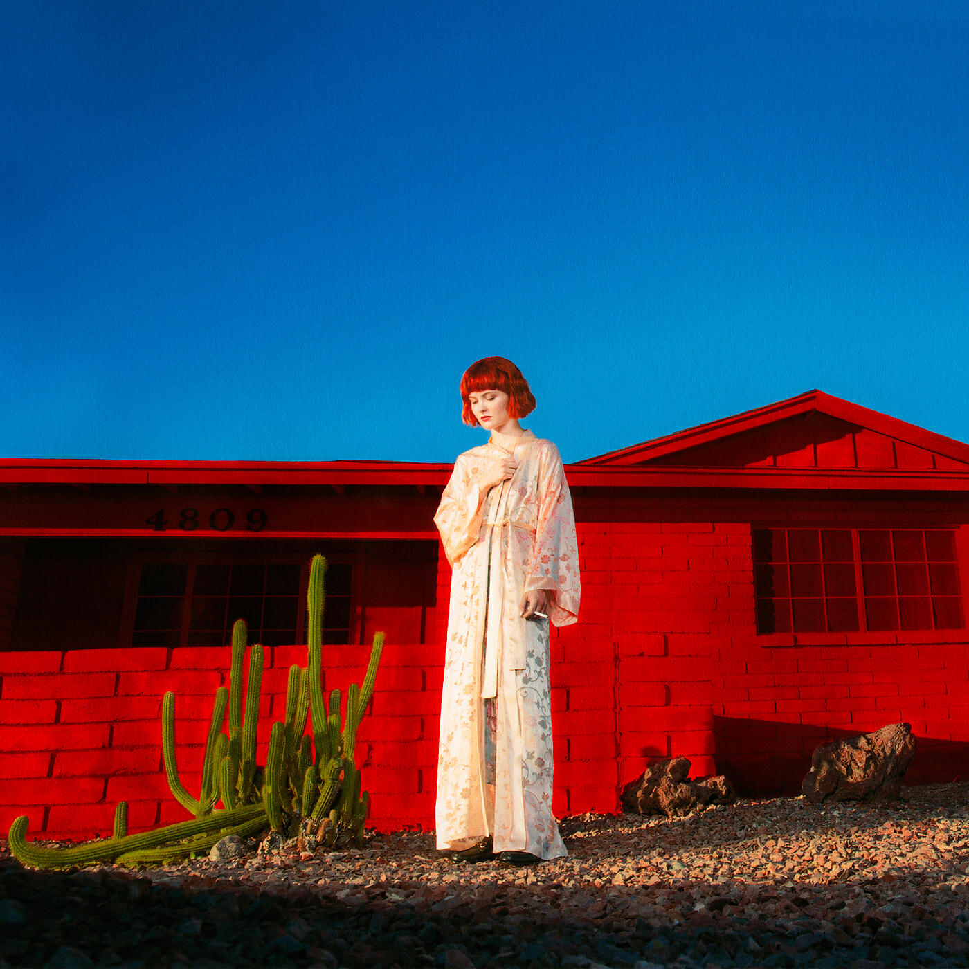 Kacy Hill - Lion