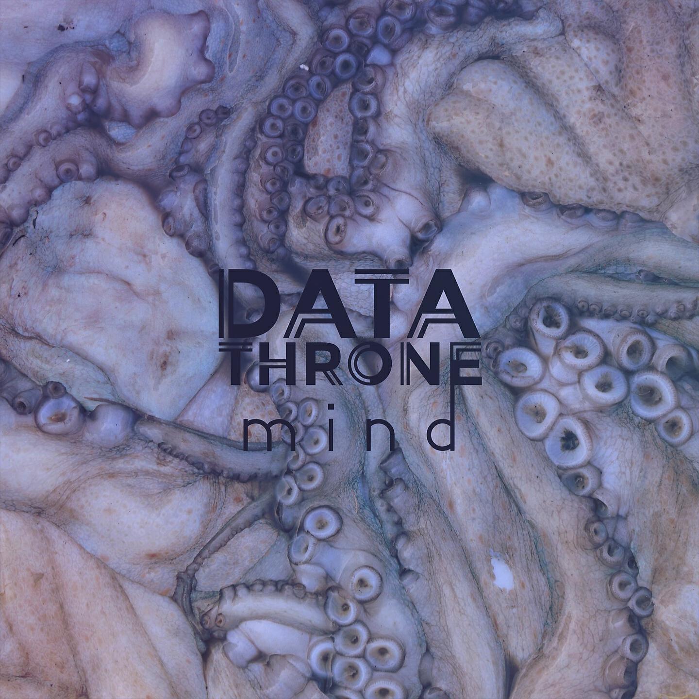 Data Throne - Pelican Enclave