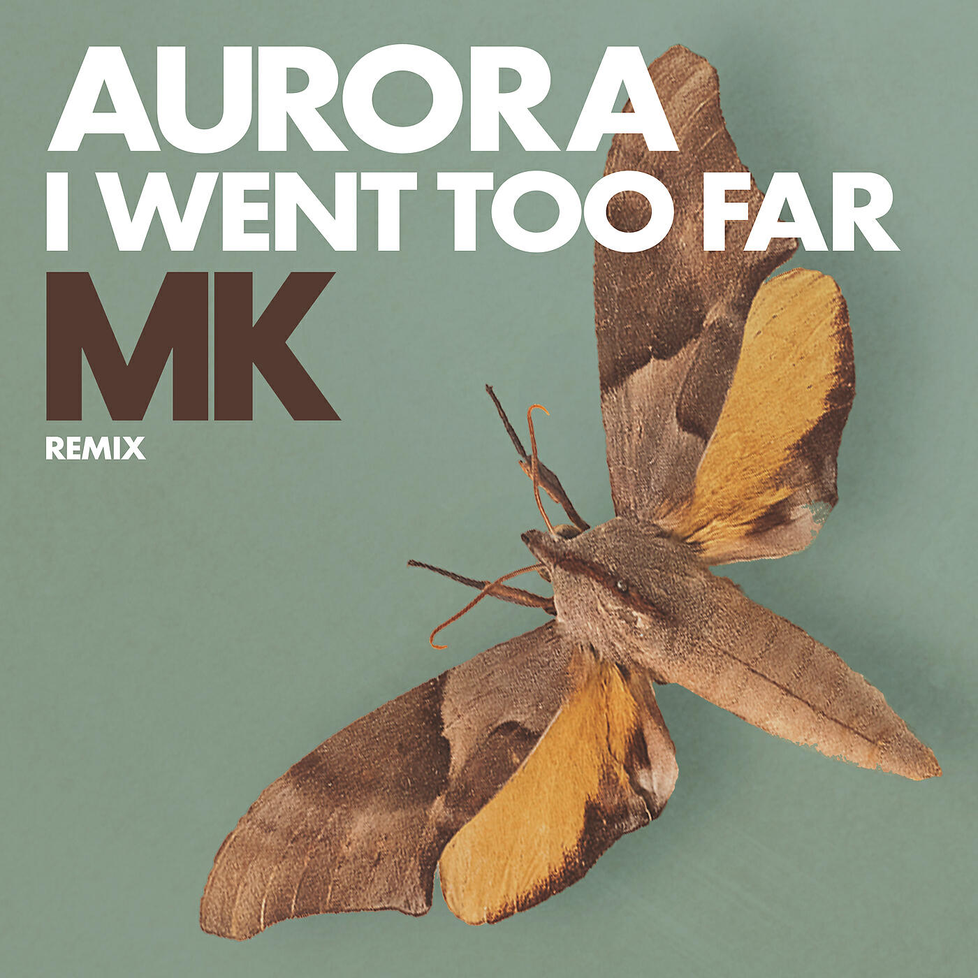 AURORA - I Went Too Far (MK Remix / Radio Version)