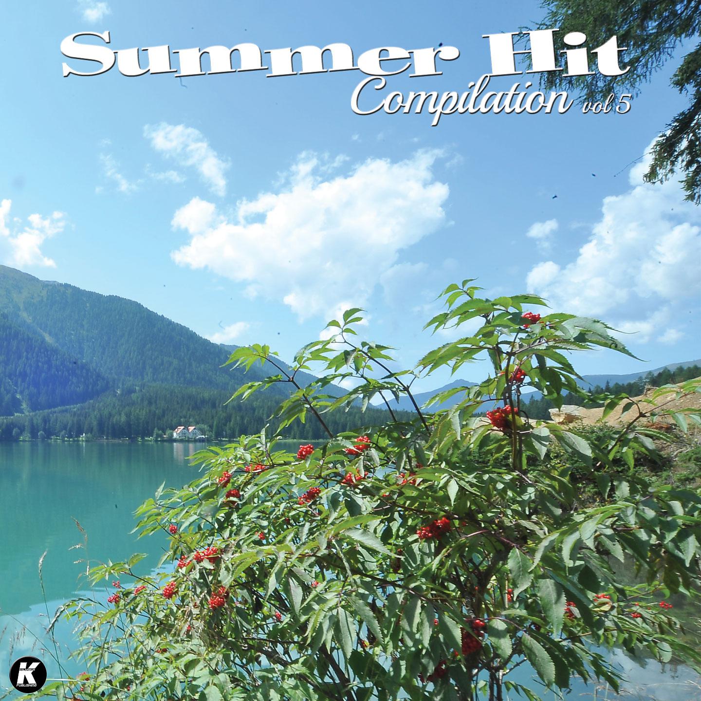 Постер альбома Summer Hit Compilation, Vol. 5