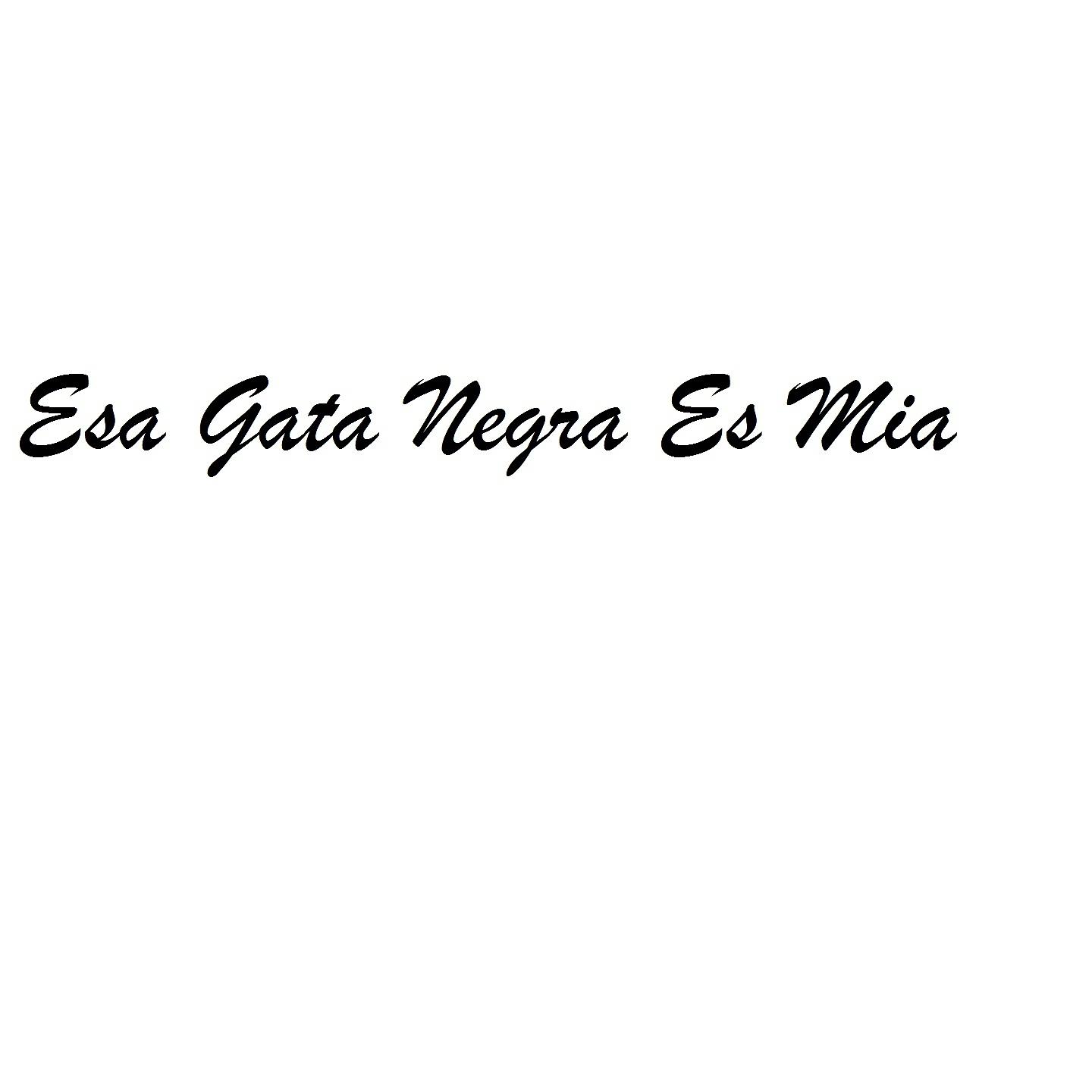 Постер альбома Esa Gata Negra Es Mía