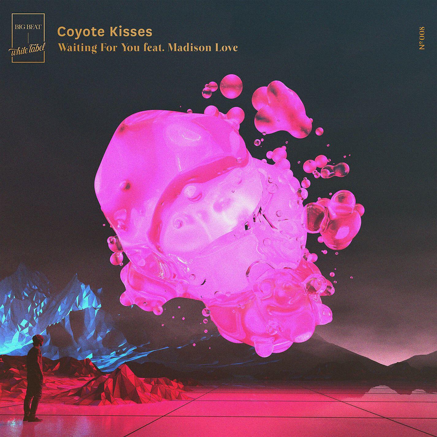 Coyote Kisses - Waiting for You (feat. Madison Love)