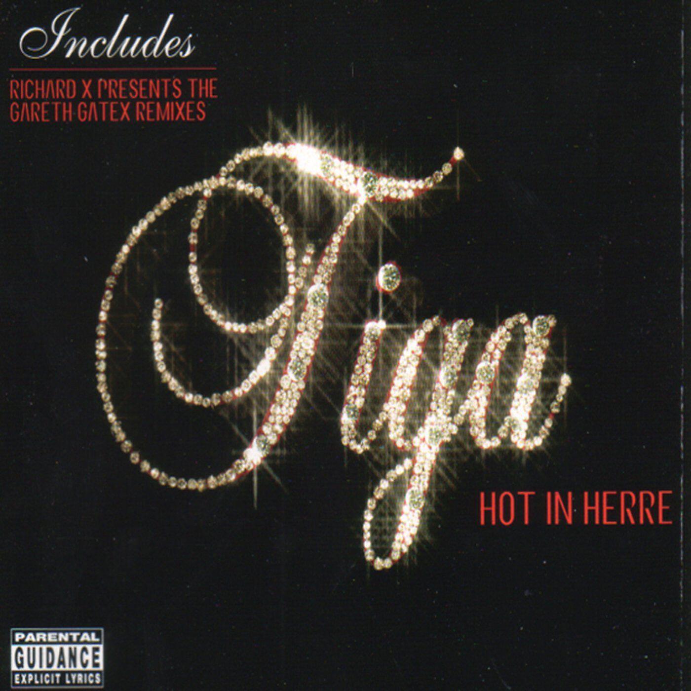 Tiga - Hot in Herre (Radio Slave Re Edit)