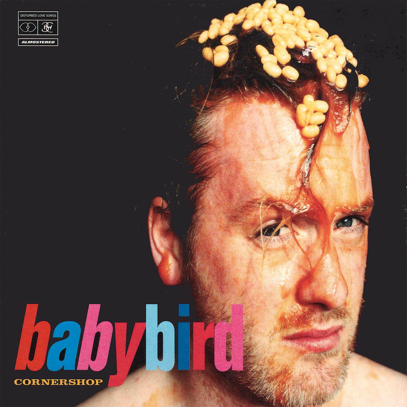 Babybird - Death of the Neighbourhood II