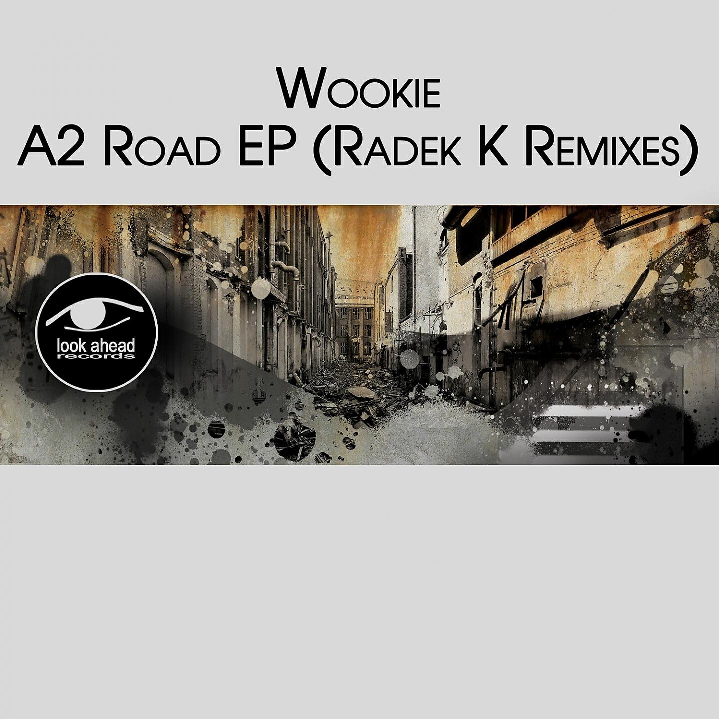 Wookie - Stalker (Radek K Remix)