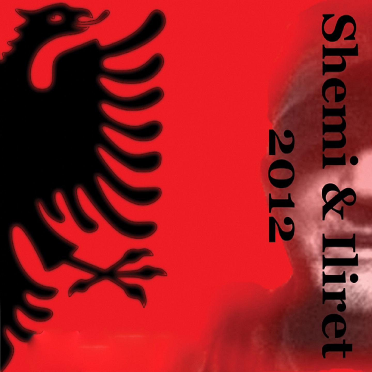 Постер альбома Shemi & Iliret 2012