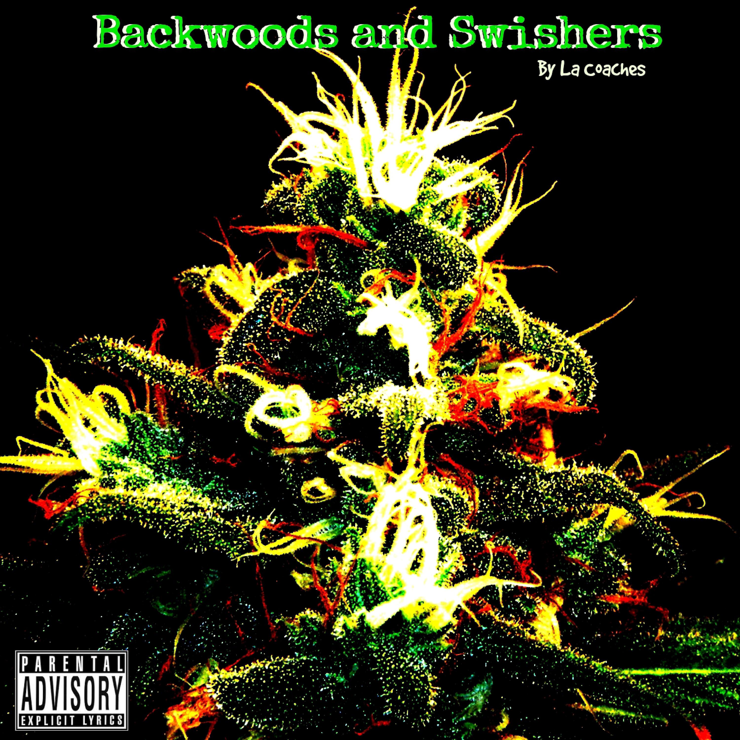 Постер альбома Backwoods and Swishers - Single