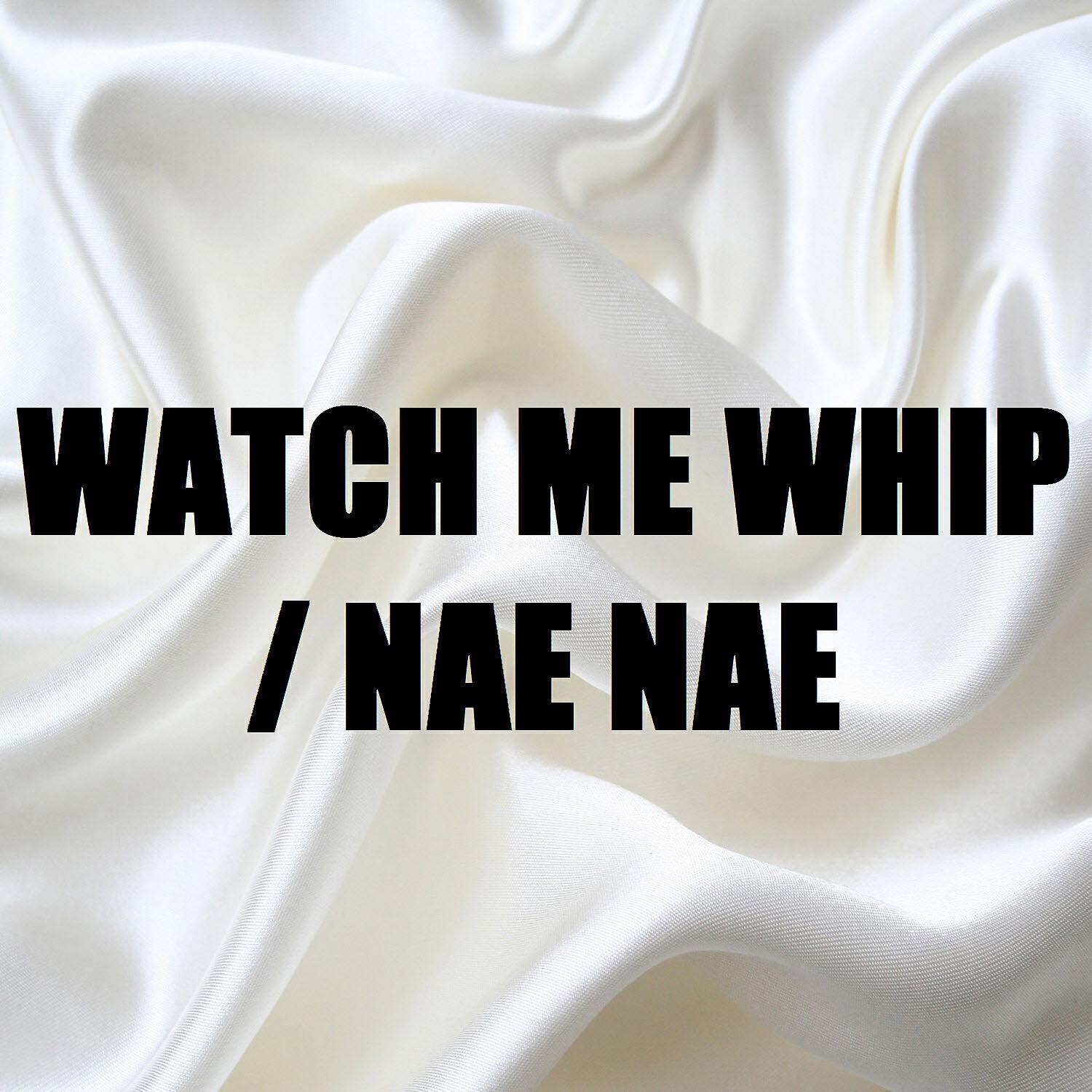 BeatRunnaz - Watch Me Whip /Nae Nae (In the Style of Silento) [Karaoke Version]