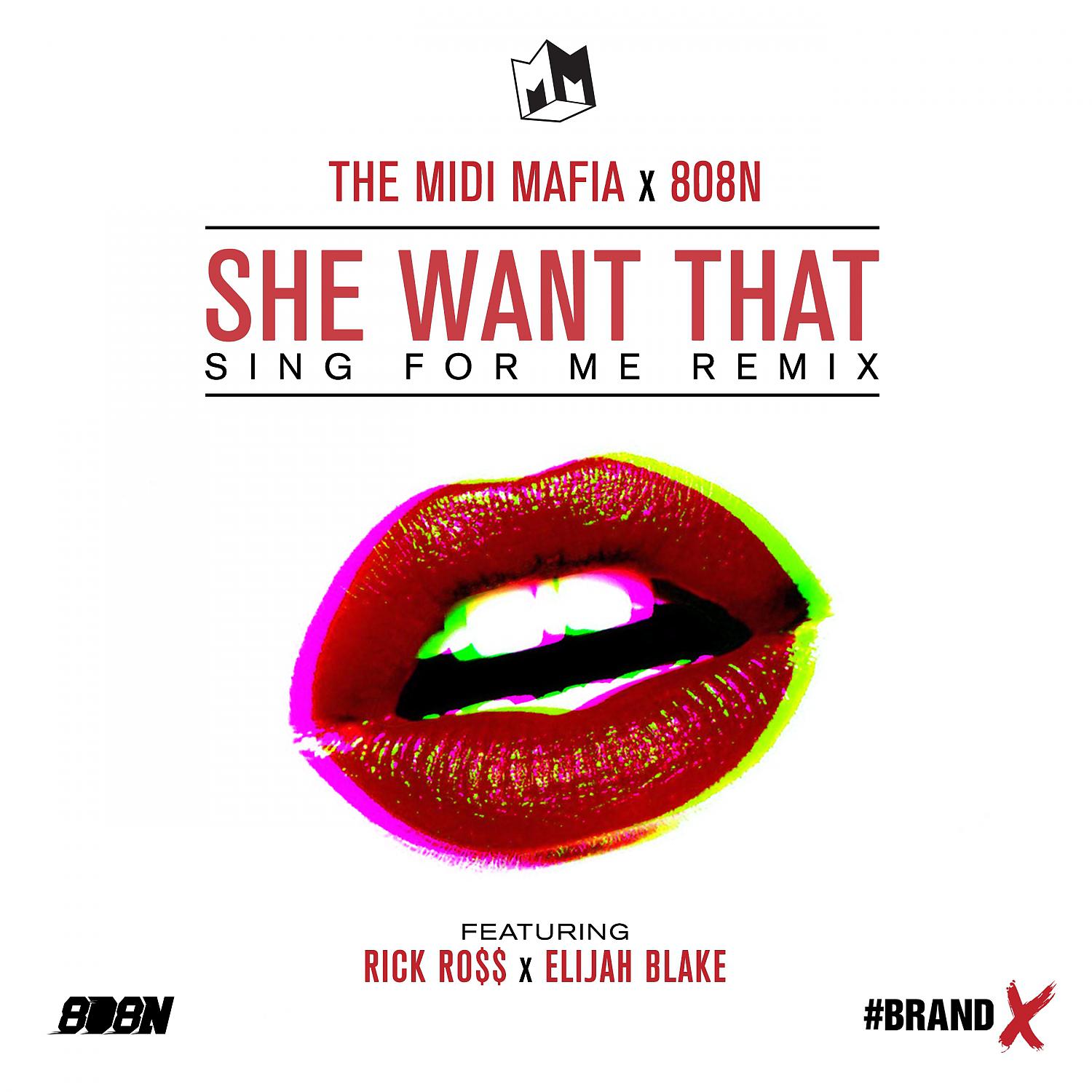 Постер альбома She Want That (feat. Rick Ross & Elijah Blake) (Sing For Me Remix) - Single