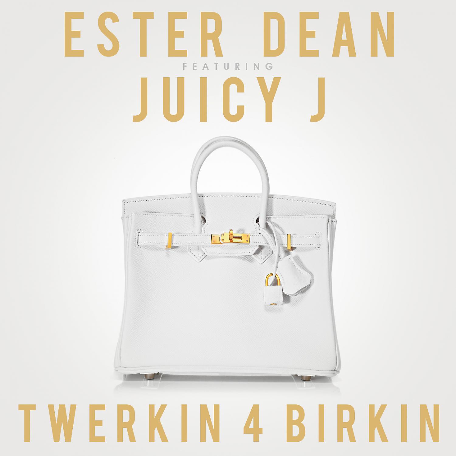 Постер альбома Twerkin 4 Birkin (feat. Juicy J) - Single