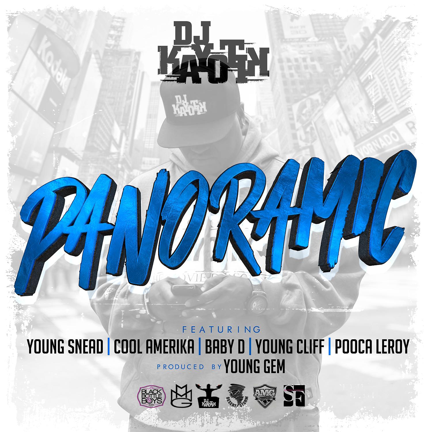 Постер альбома Panoramic (feat. Young Snead, Pooca Leroy, Baby D, Young Cliff, Cool Amerika) - Single