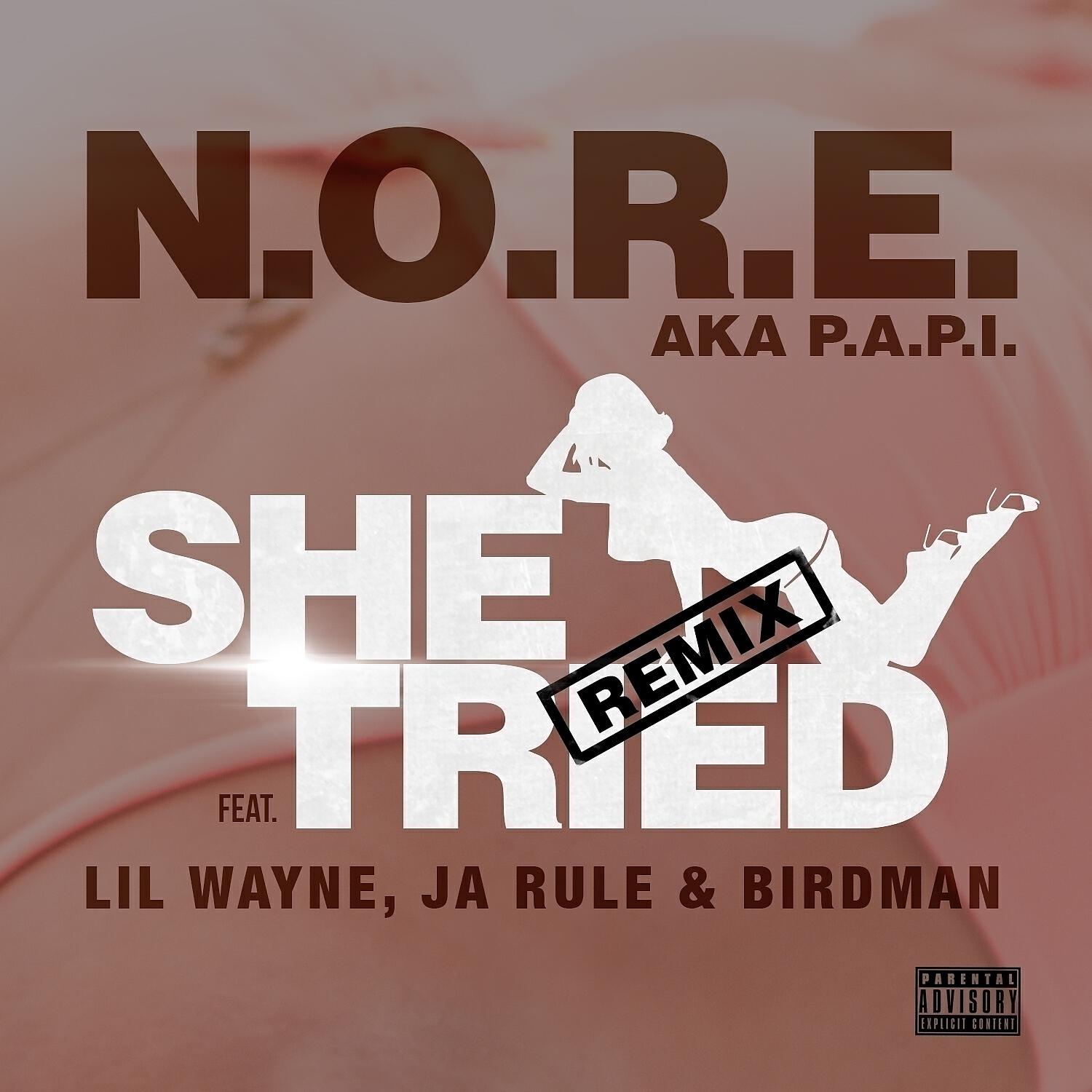 N.O.R.E. - She Tried (Remix) (feat. Lil Wayne, Ja Rule & Birdman)