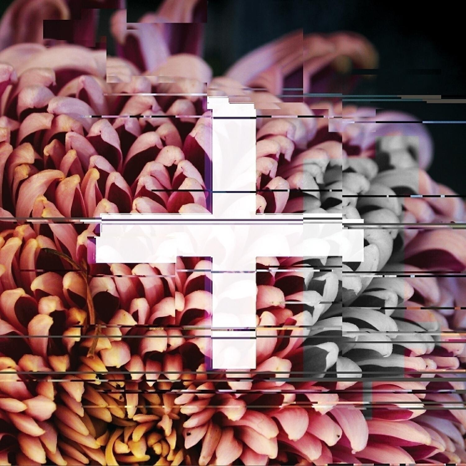 Zo! - Flight of the Blackbyrd (4hero Remix) (feat. Phonte)