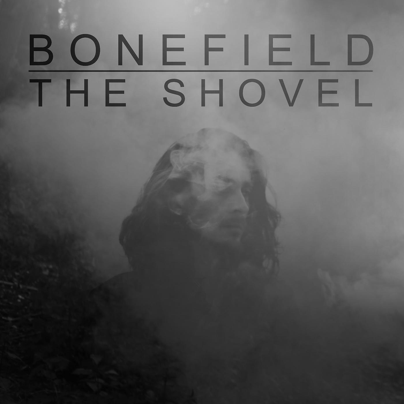 Постер альбома The Shovel