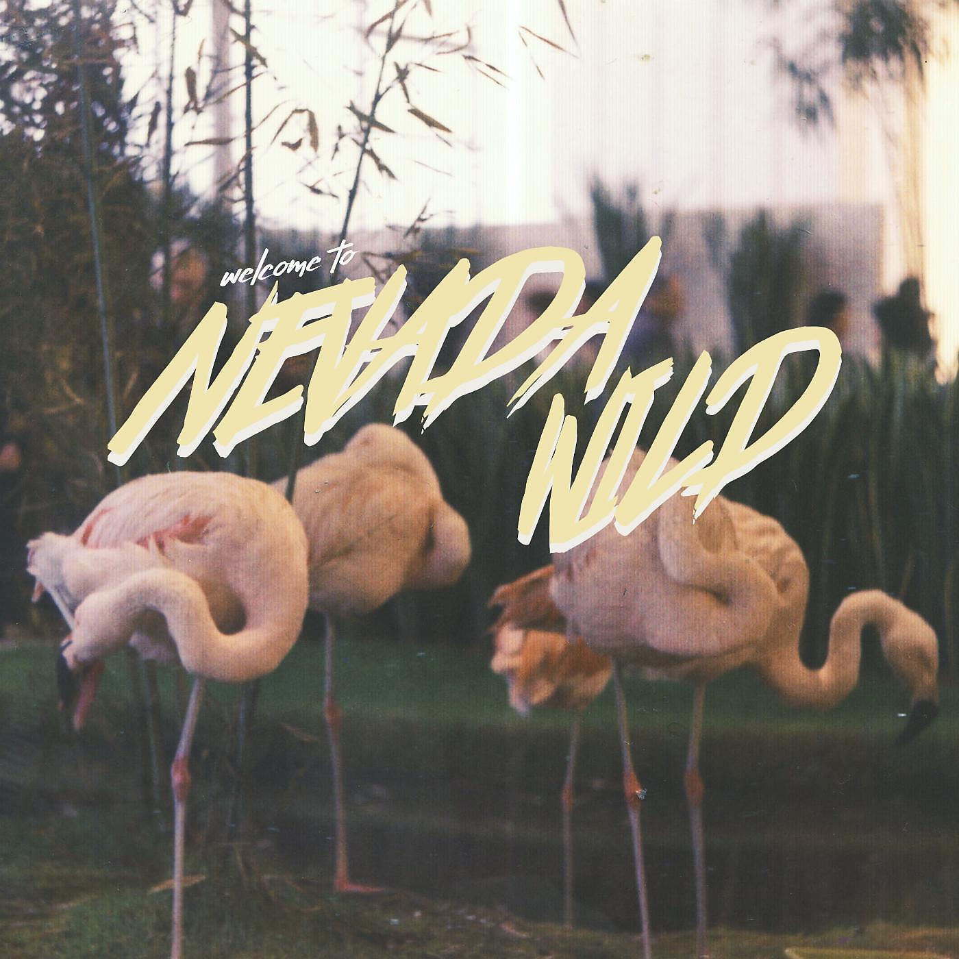 Постер альбома Welcome to Nevada Wild