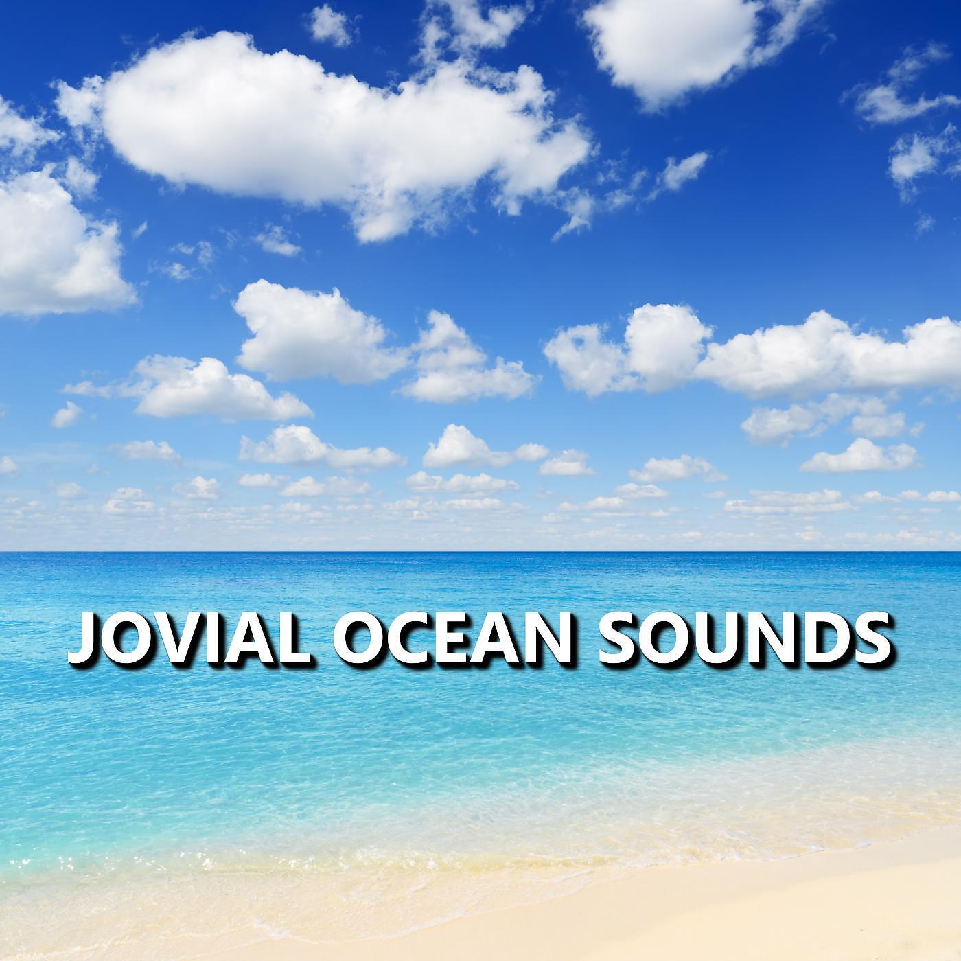 Ocean Sounds - Eloquent Florida Ocean Waves