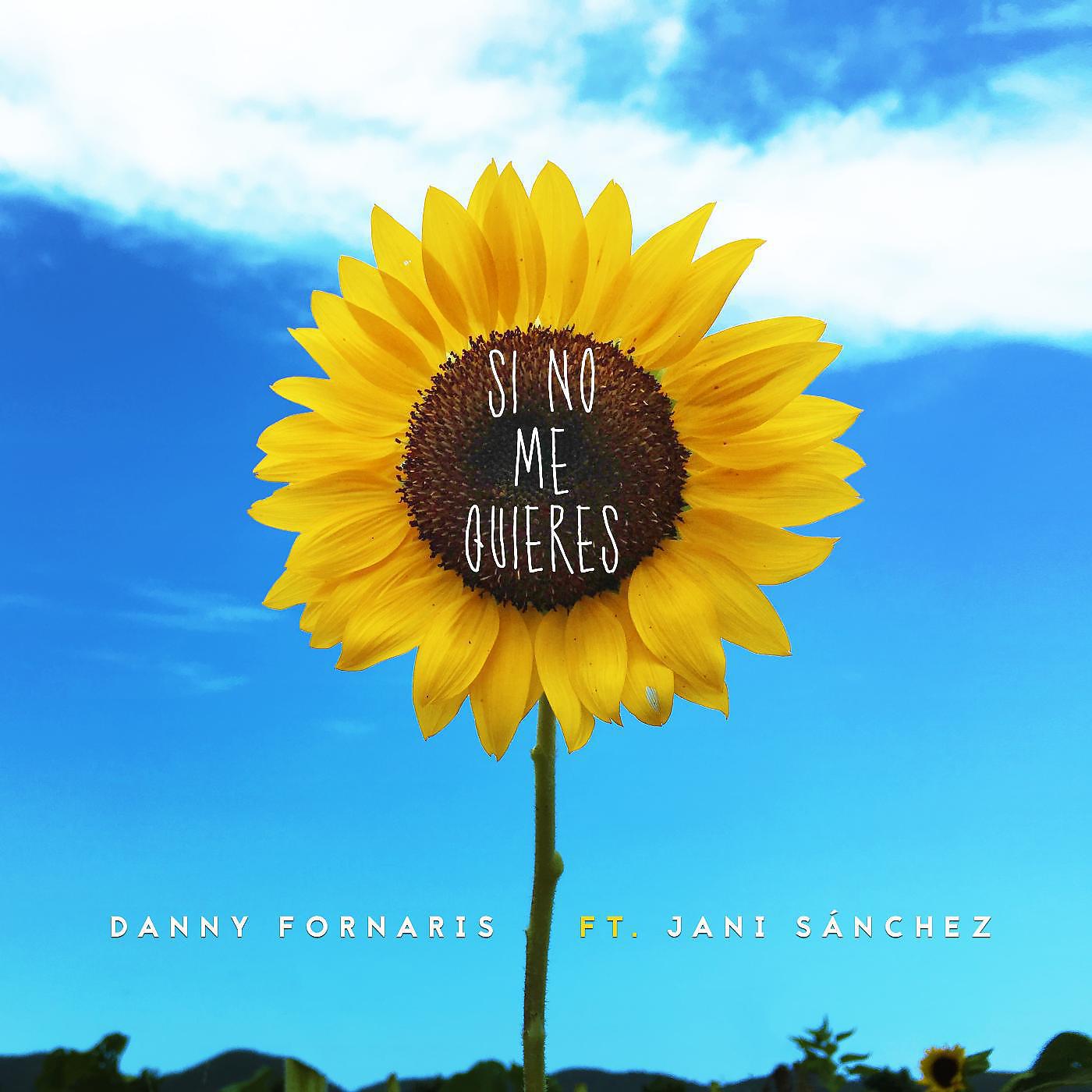 Постер альбома Si No Me Quieres (feat. Jani Sánchez)