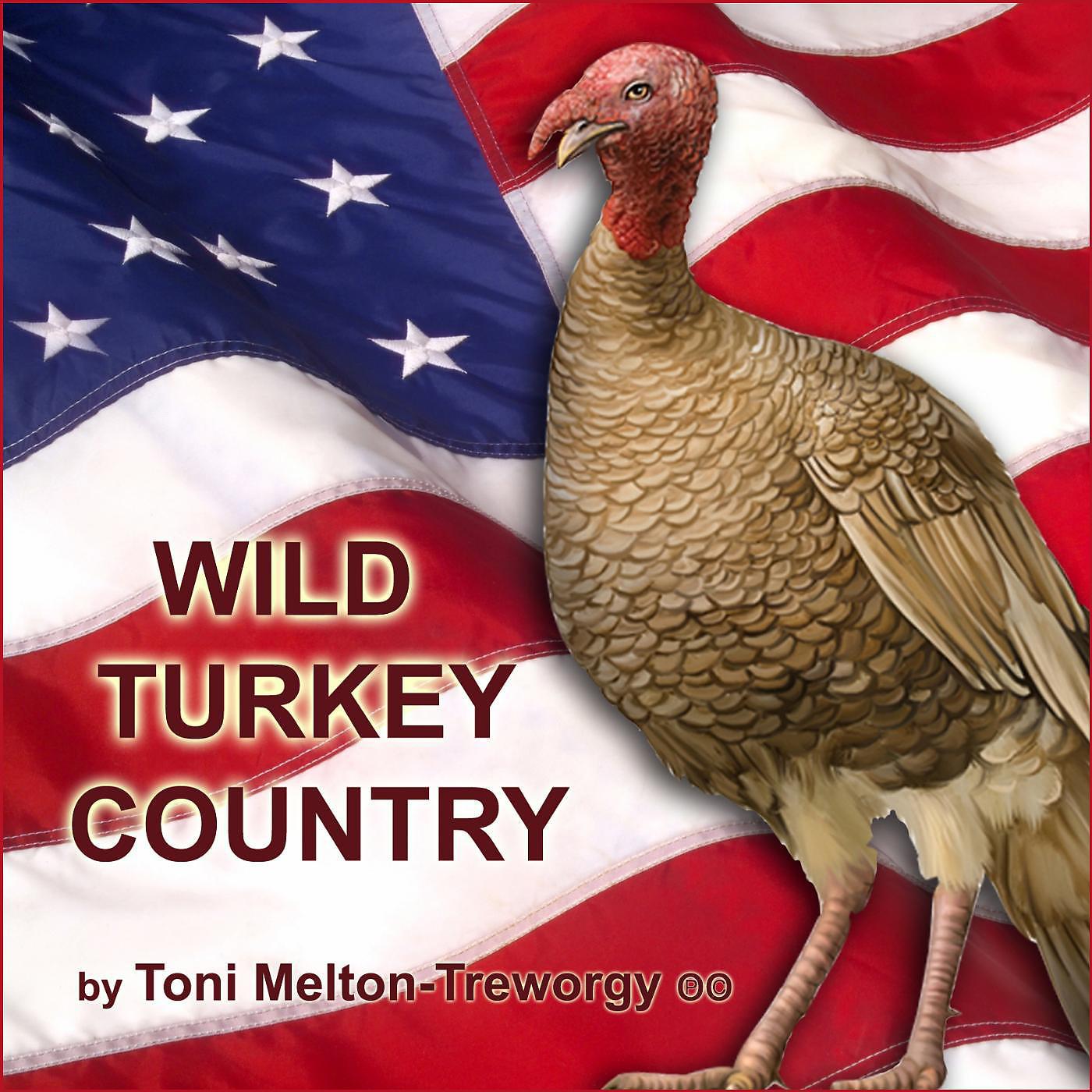 Постер альбома Wild Turkey Country