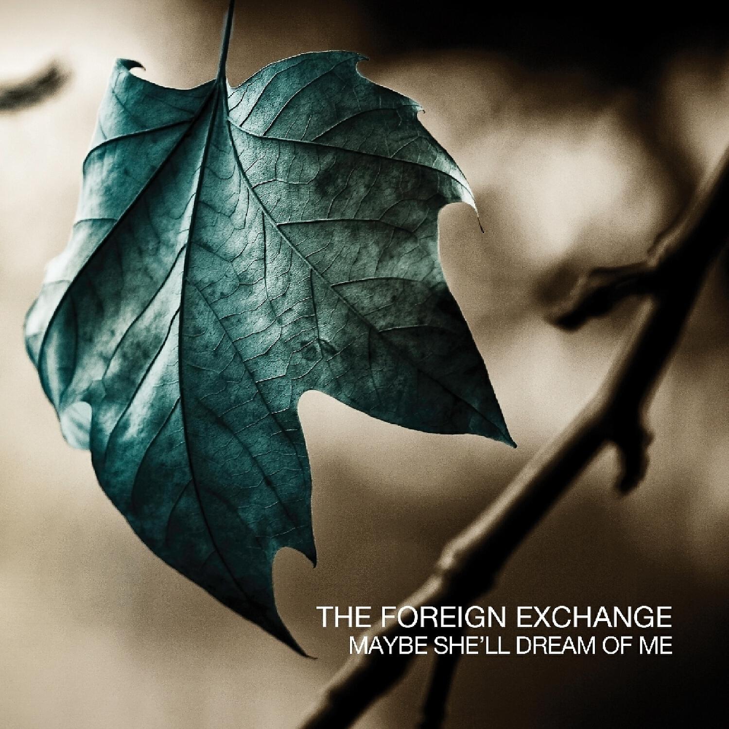 The Foreign Exchange - Maybe She'll Dream Of Me (Instrumental)