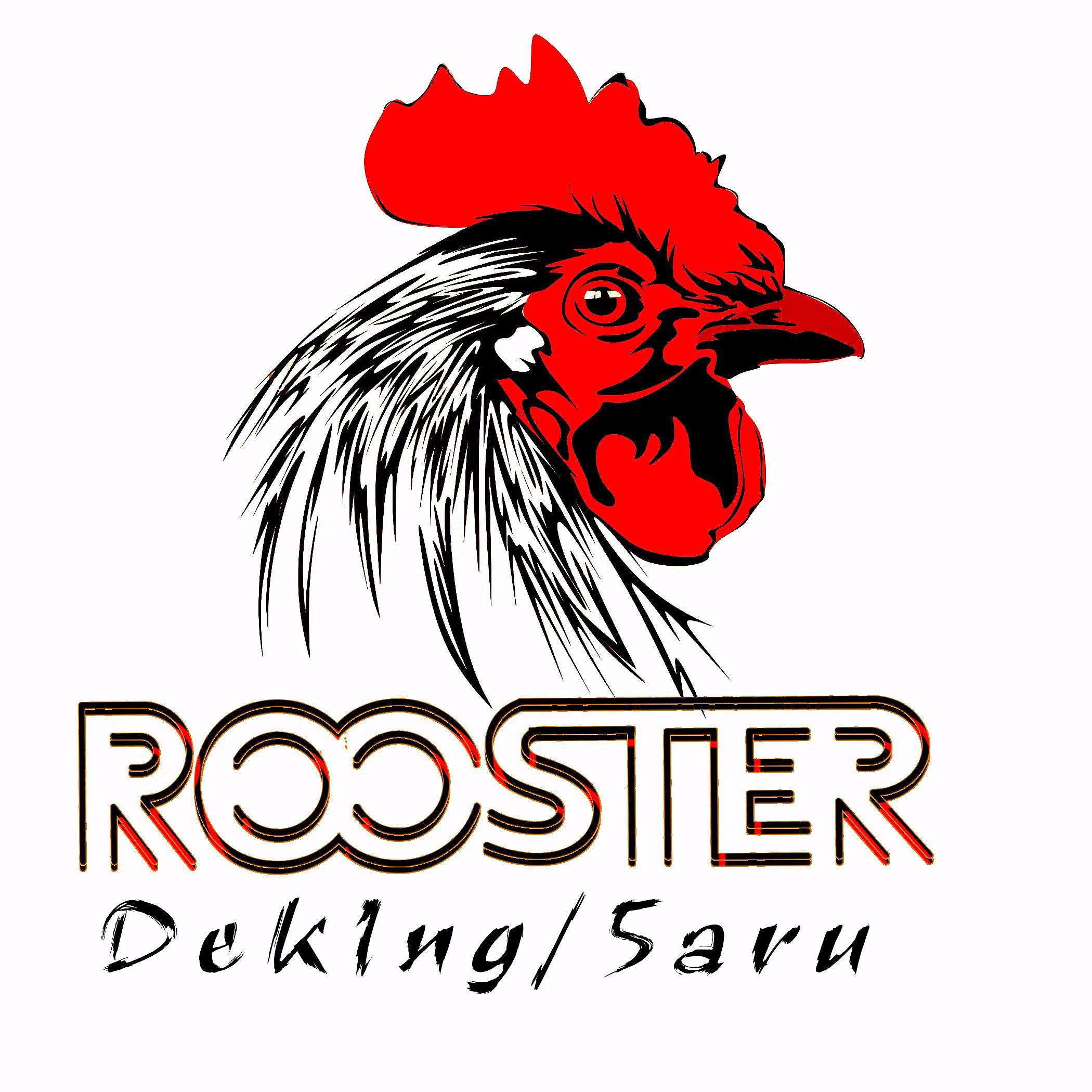 Постер альбома Rooster