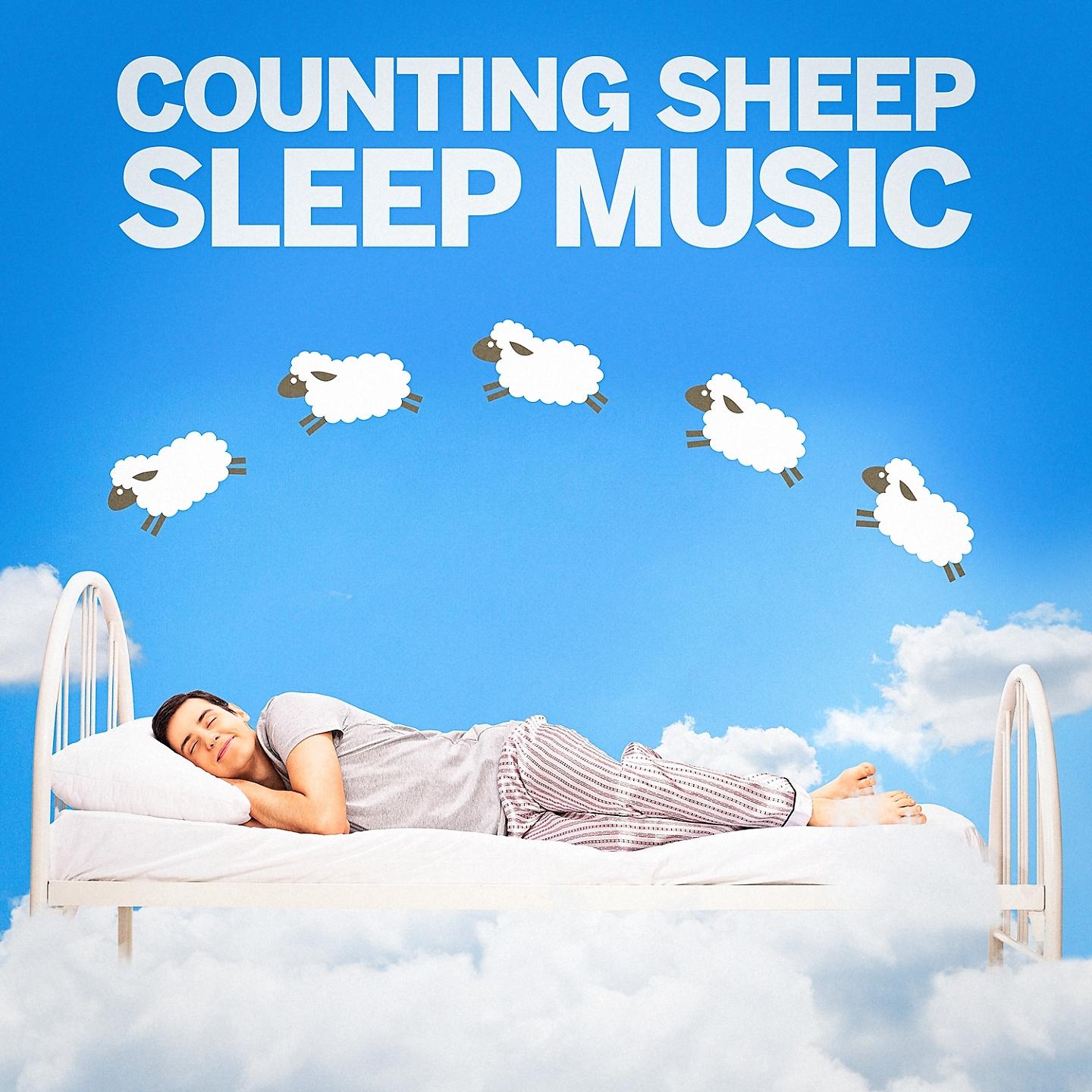 Постер альбома Counting Sheep Sleep Music