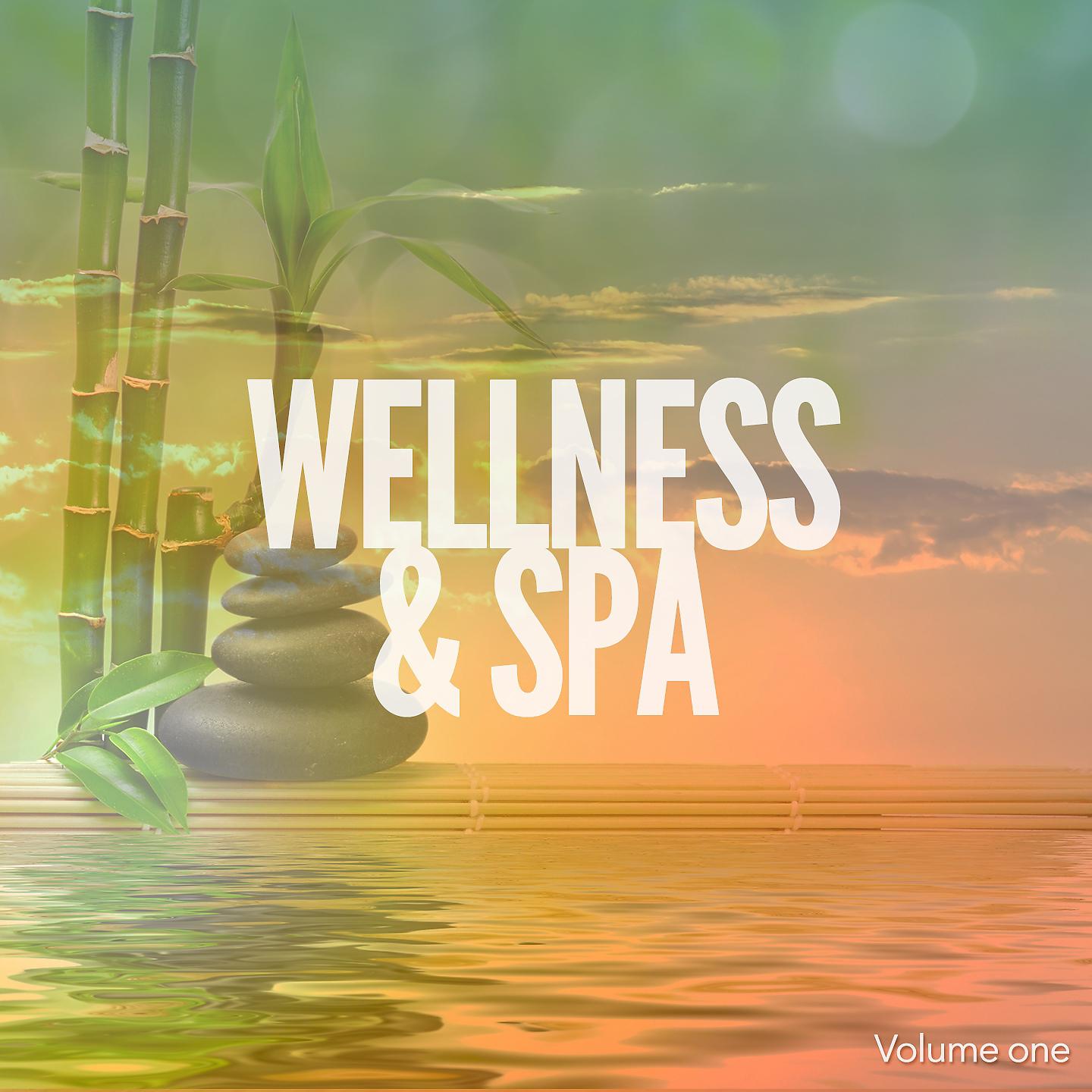Постер альбома Wellness & Spa Tunes, Vol. 1