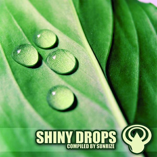 Acid On Sphere - Make It Your Shit